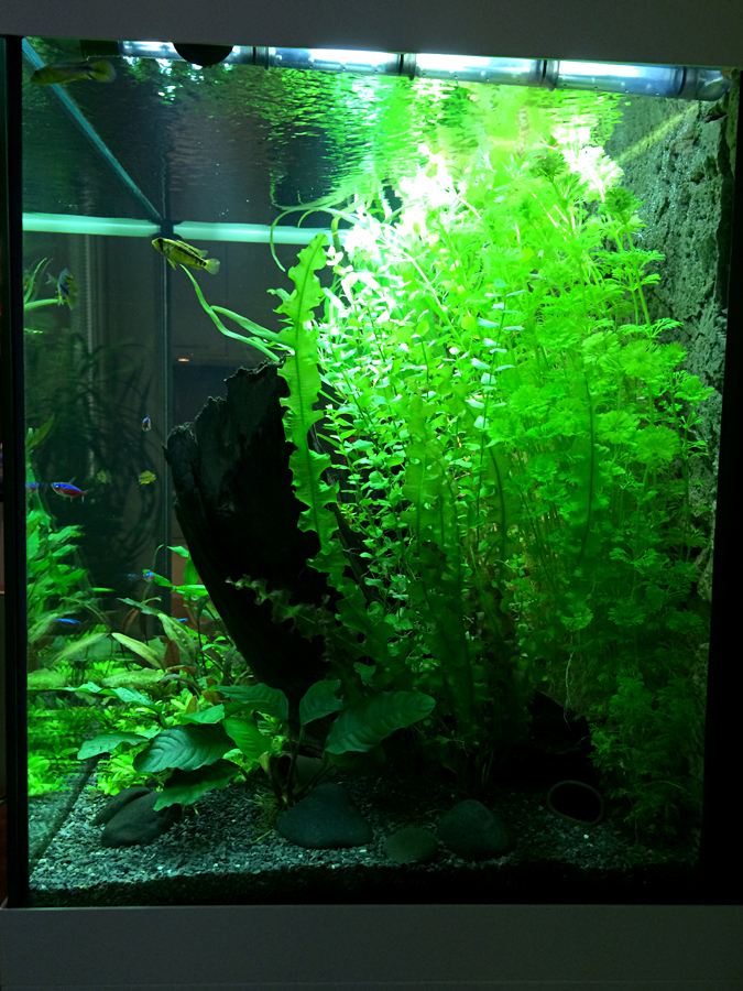 2014-06-01_Right.jpg