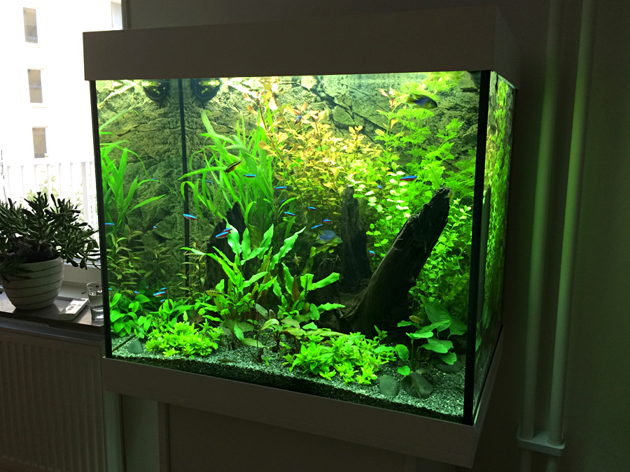 2014-05-07_Per.jpg