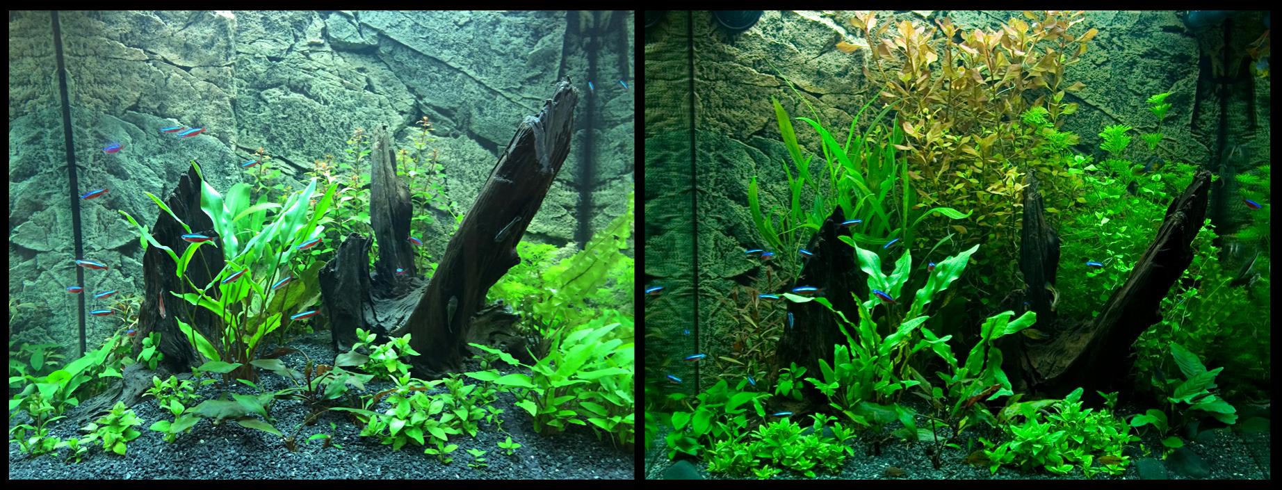 2014-04-19-vs-2014-05-01_Front_12-days.jpg