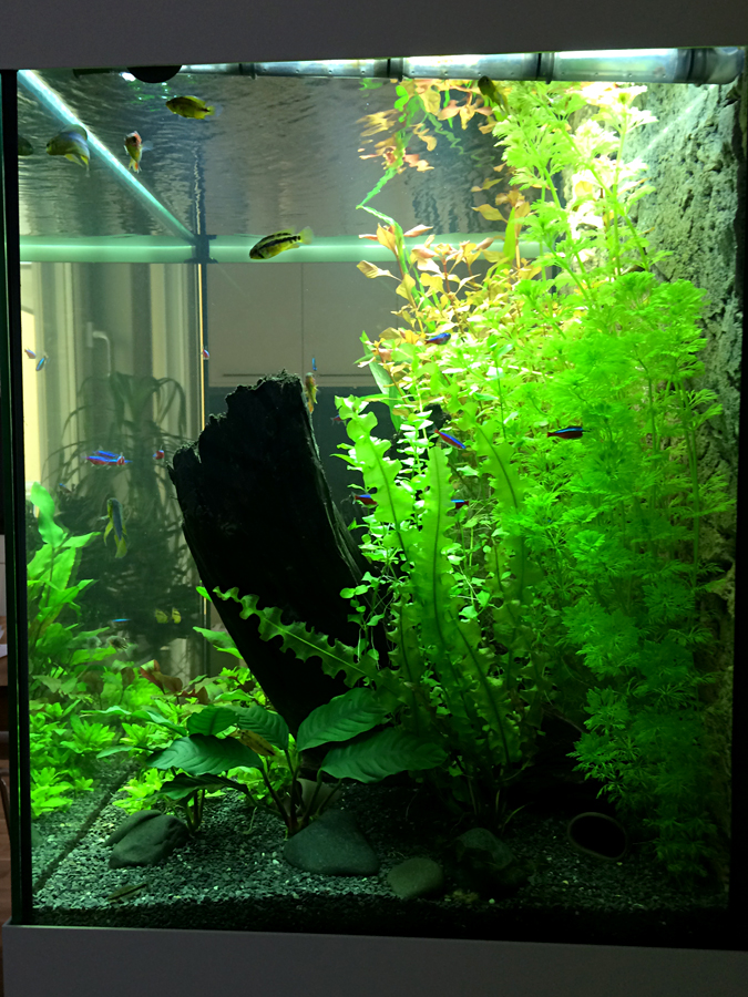2014-05-07_Right.jpg