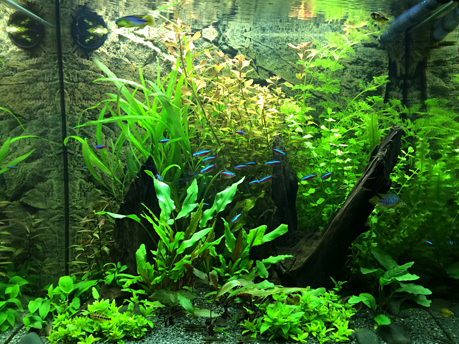 2014-05-07_Front.jpg