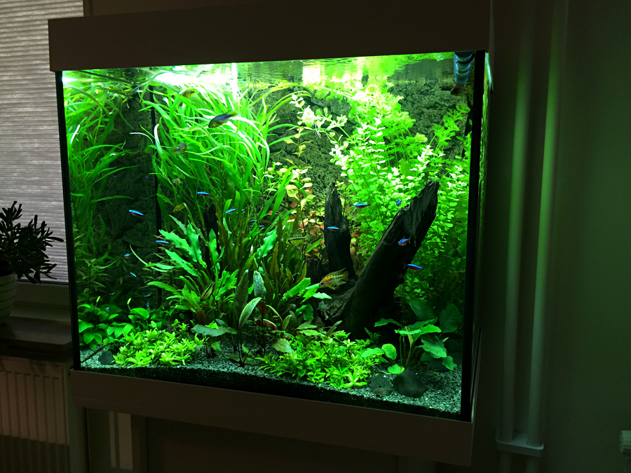 2014-06-01_Per.jpg