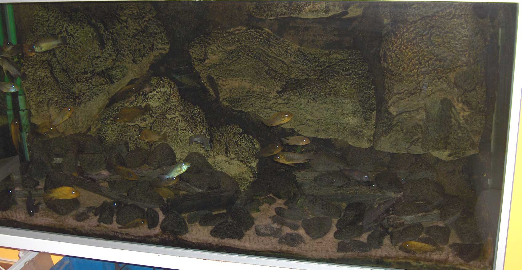 helbild.jpg
