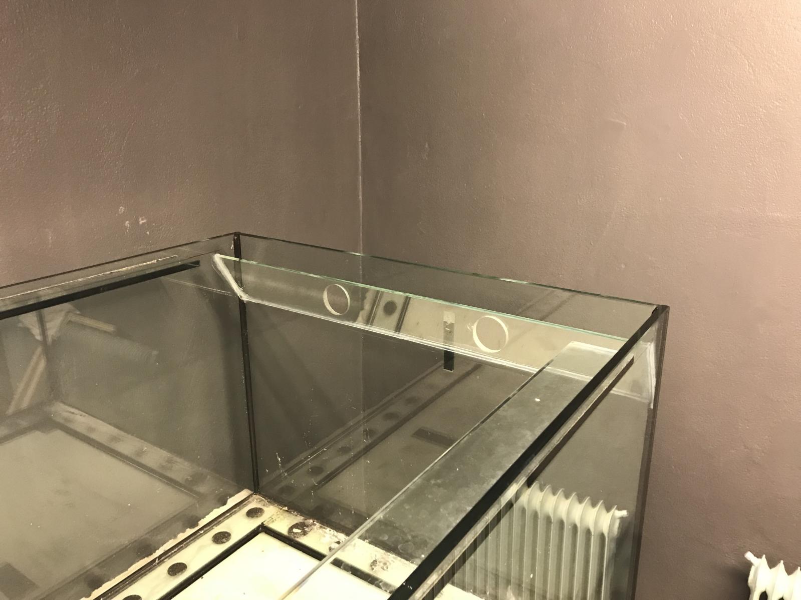 57153.jpg