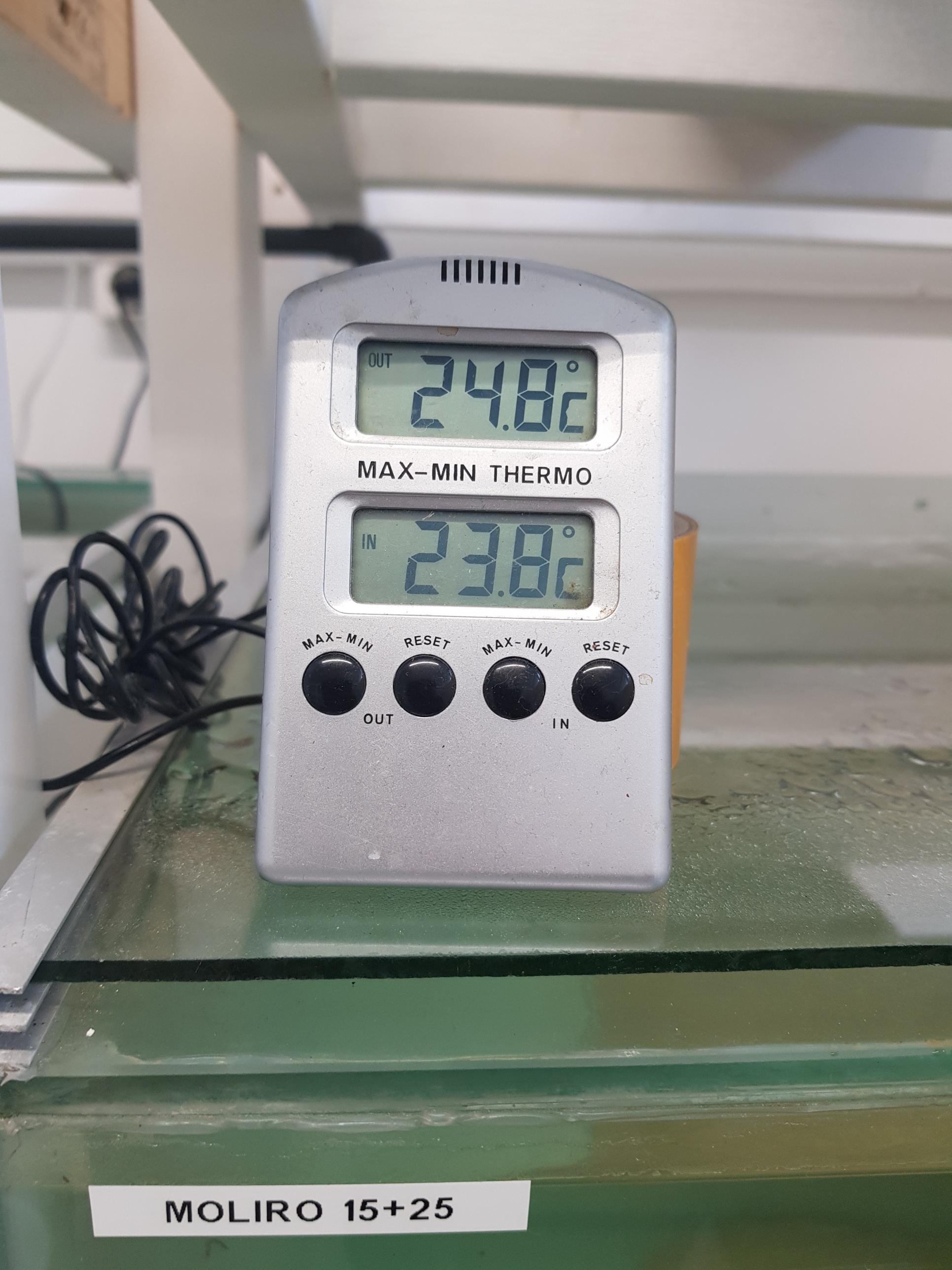 58300.jpg