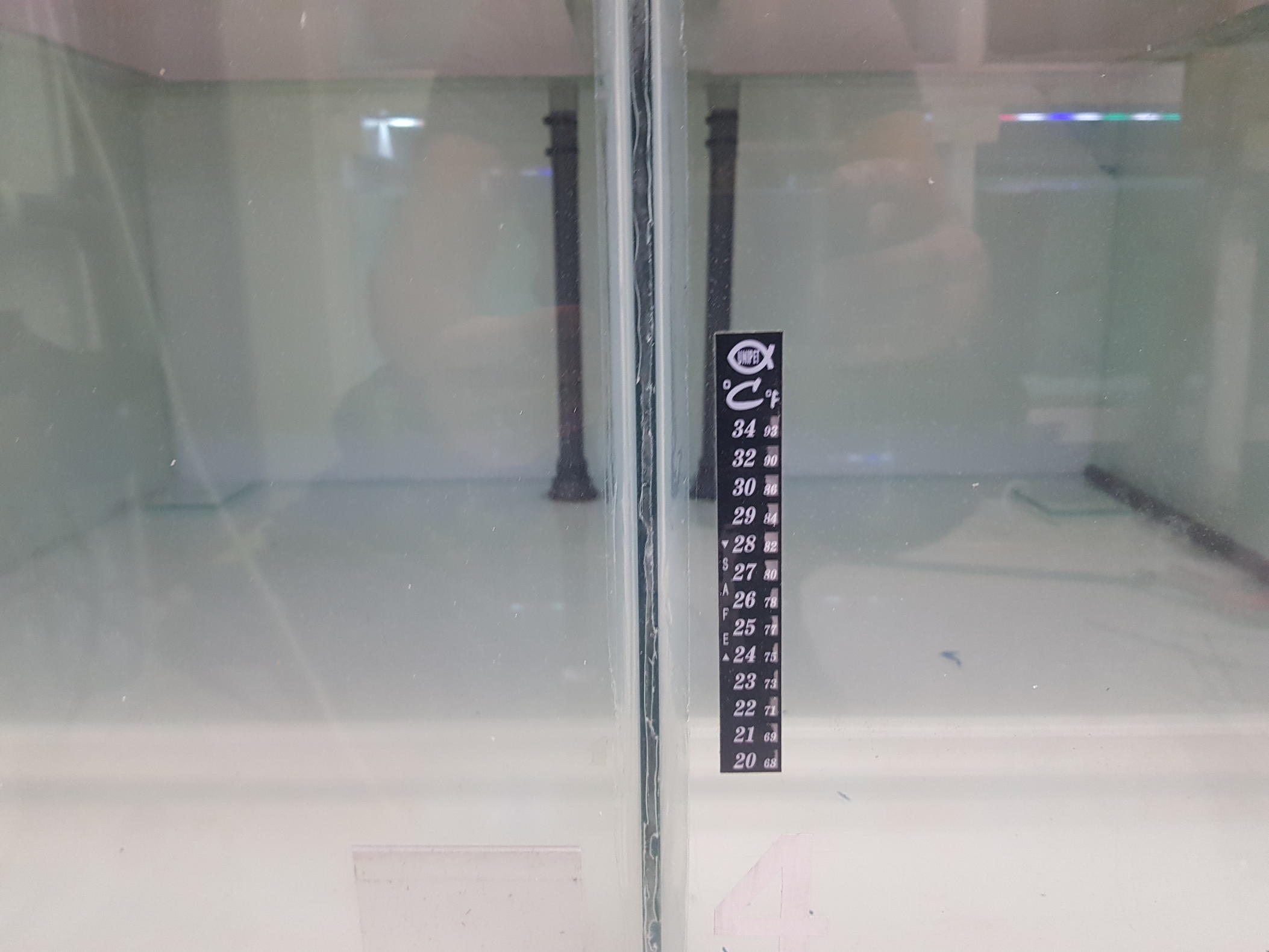 58543.jpg