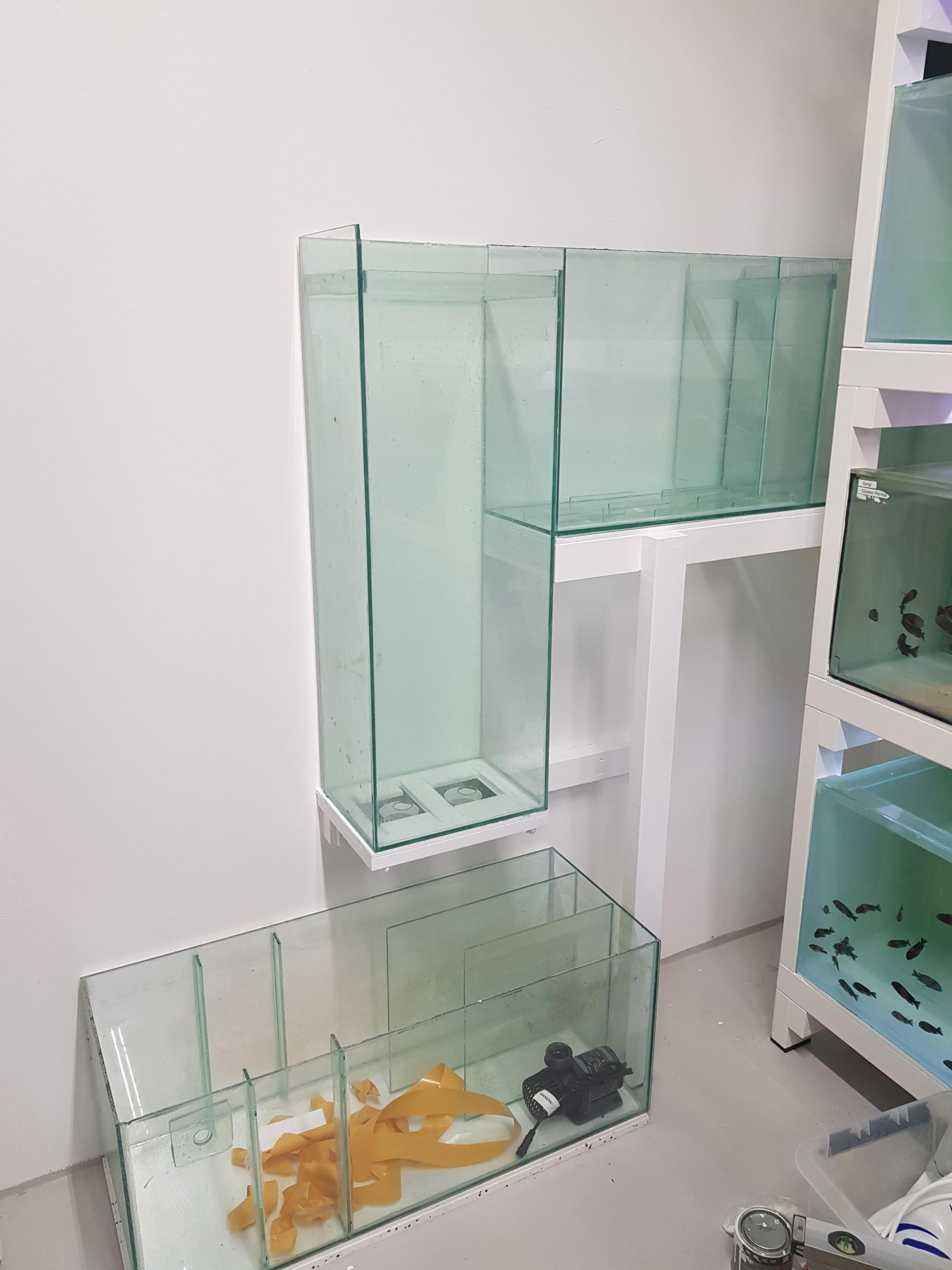 58572.jpg