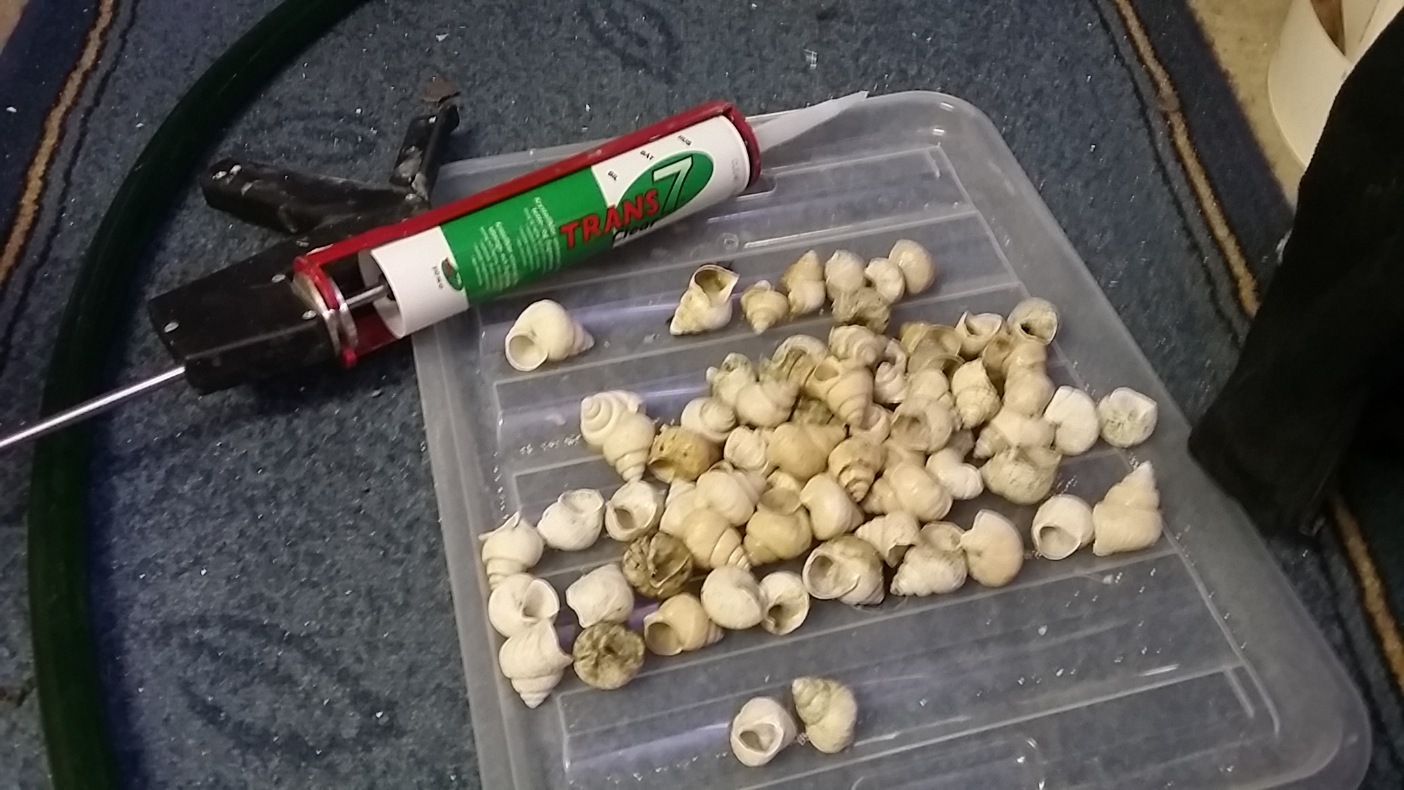 20150526_201652.jpg