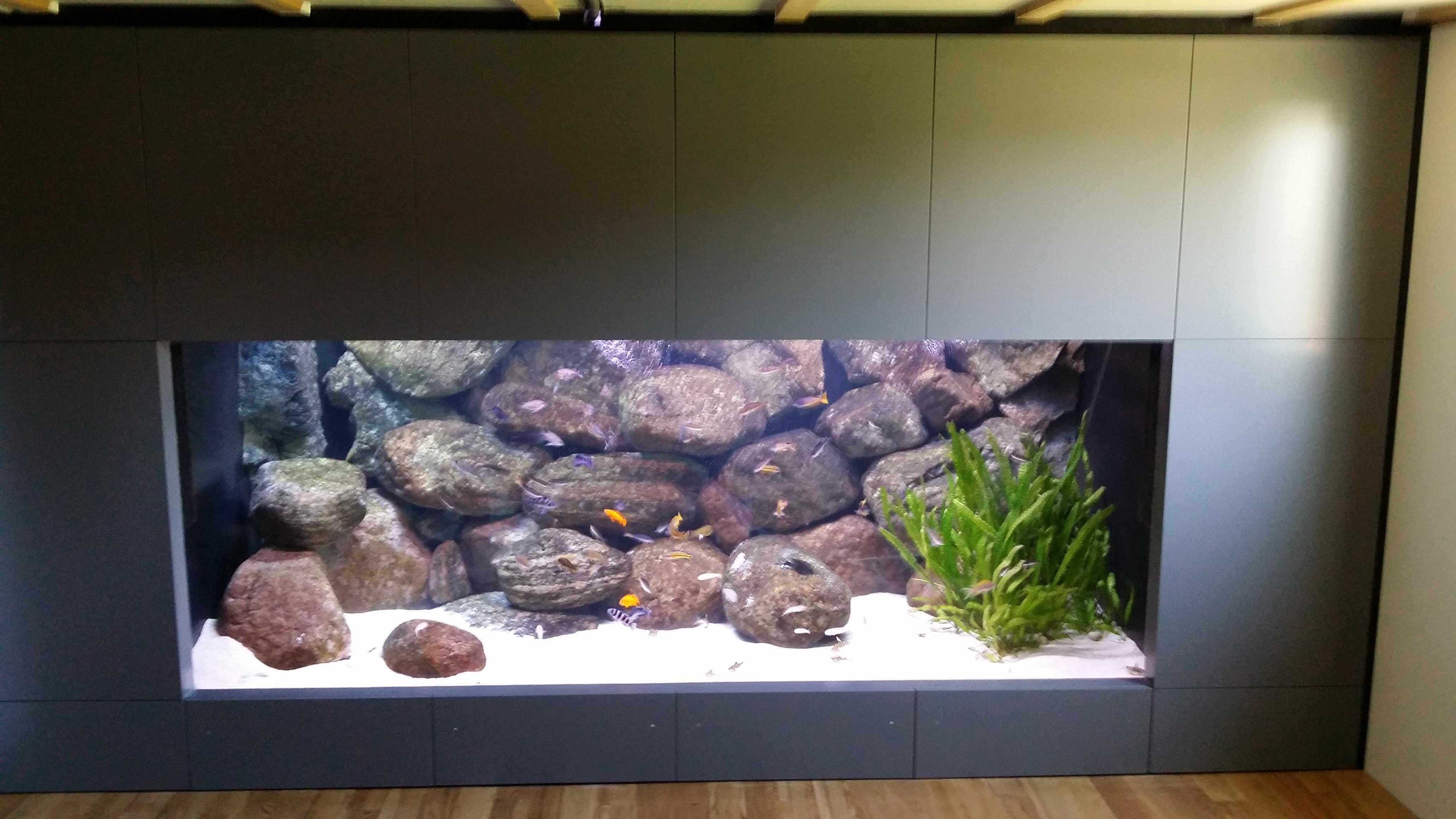 20140724_121524.jpg