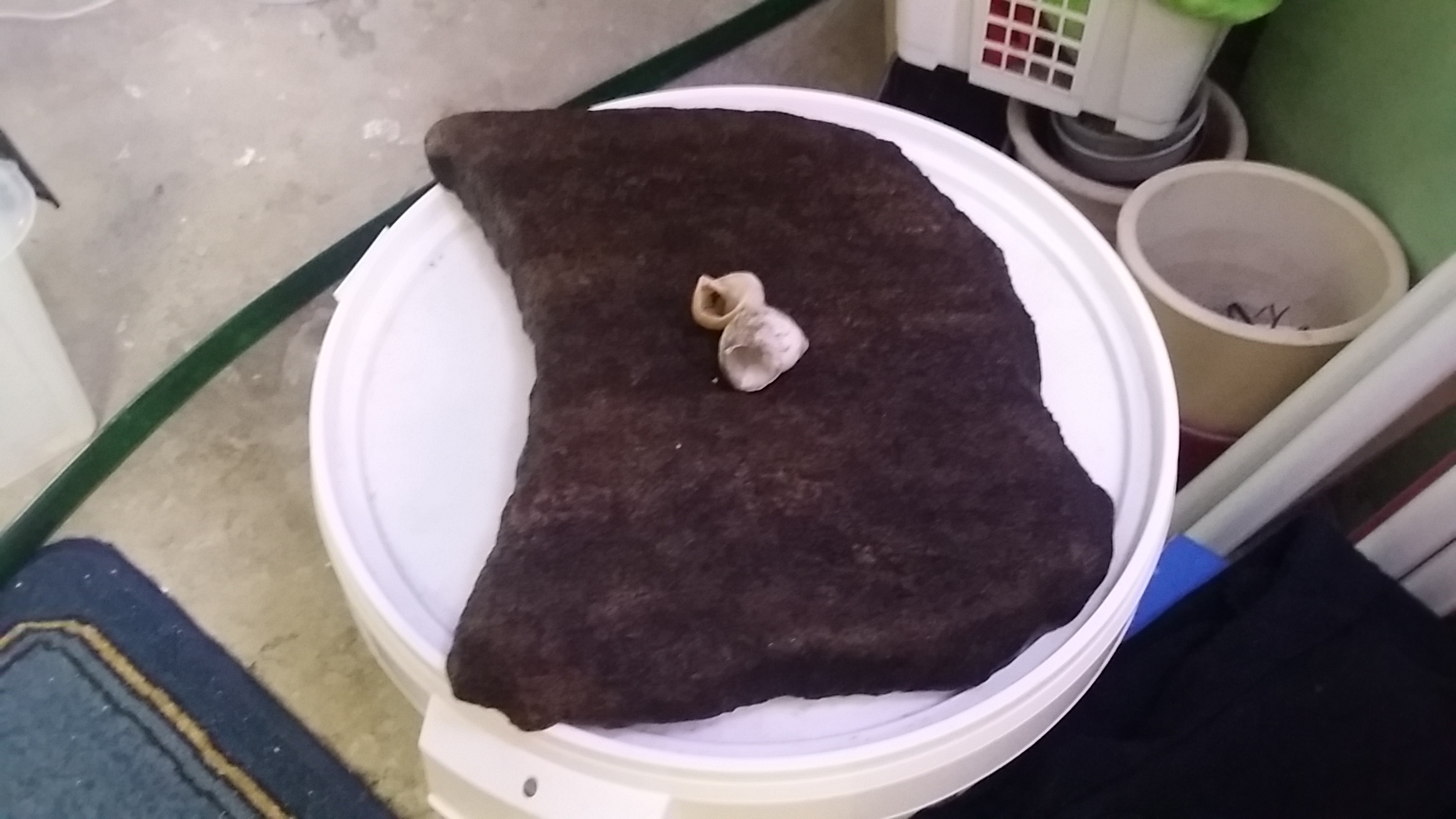 20150526_201658.jpg