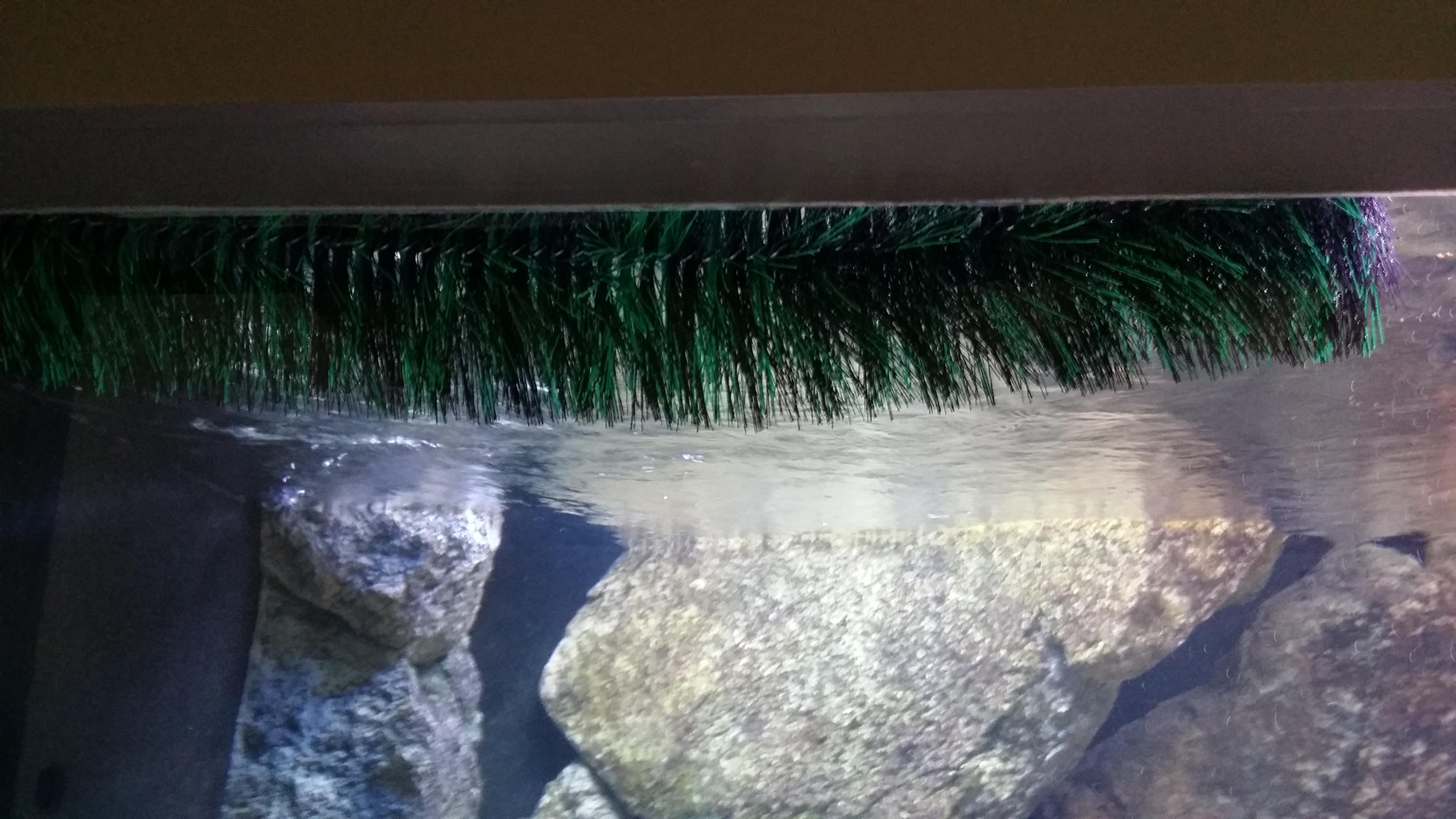 20140724_173042.jpg