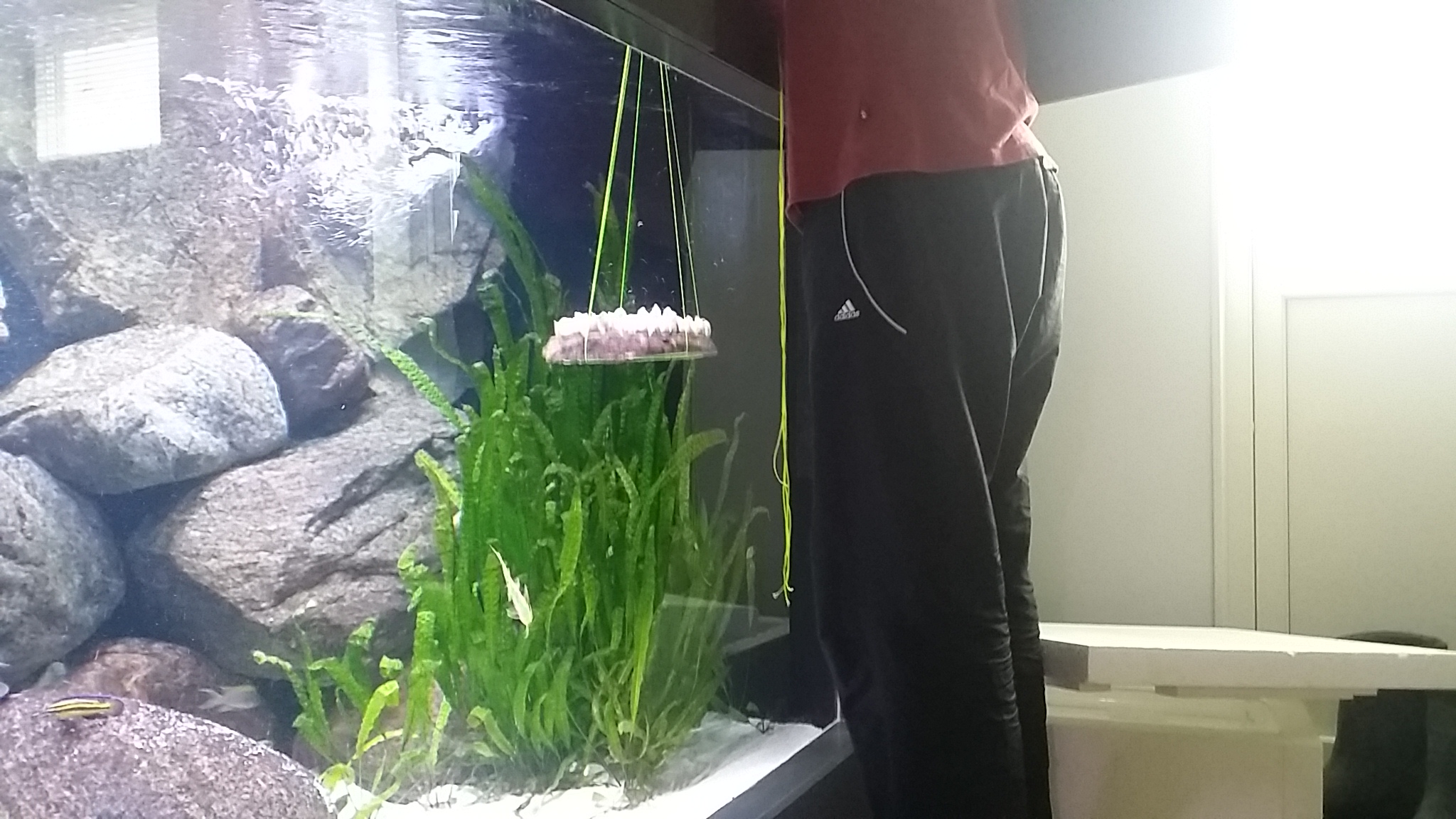 20150530_175237.jpg