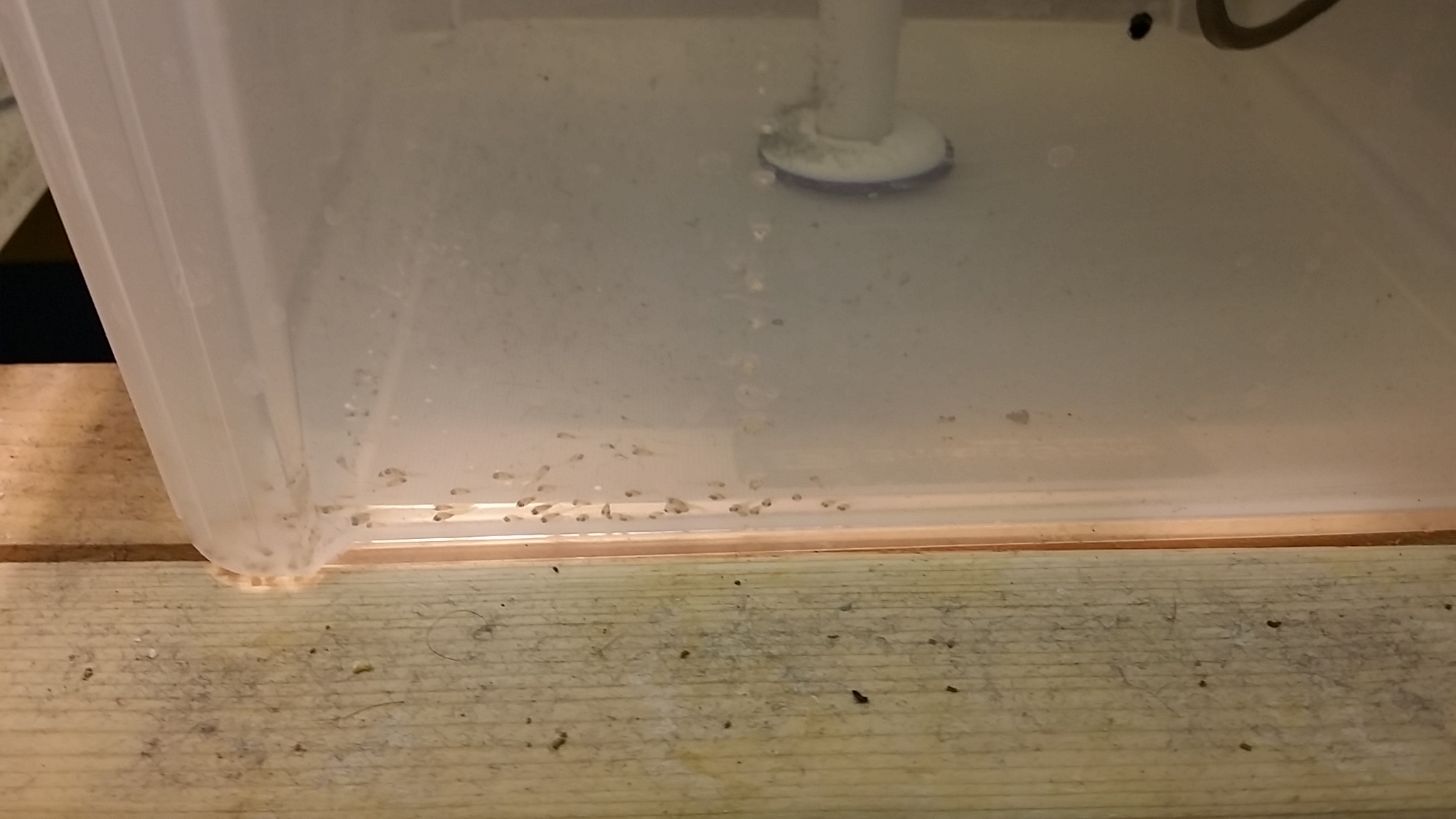 20150705_213602.jpg