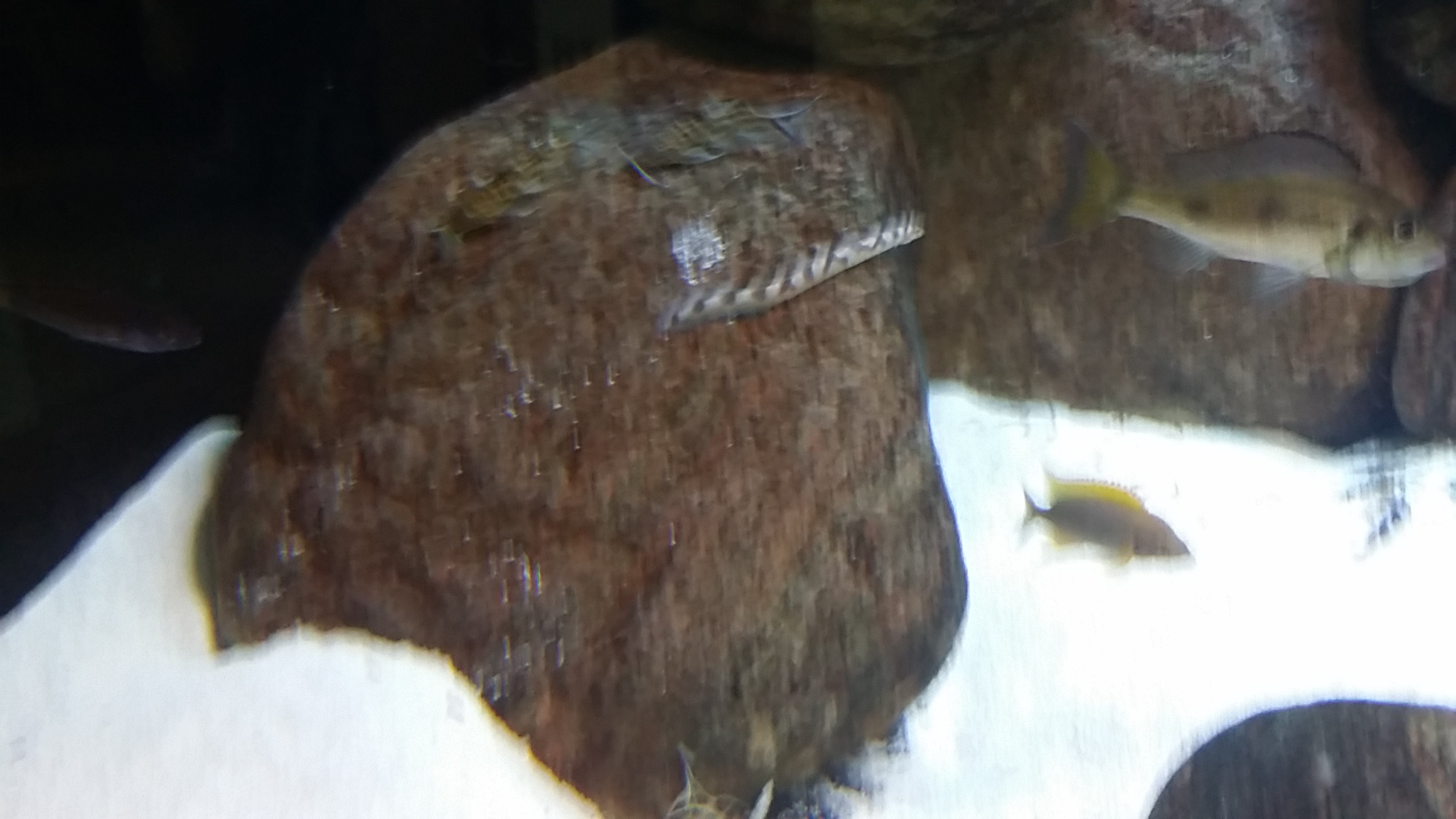 20150601_172419.jpg