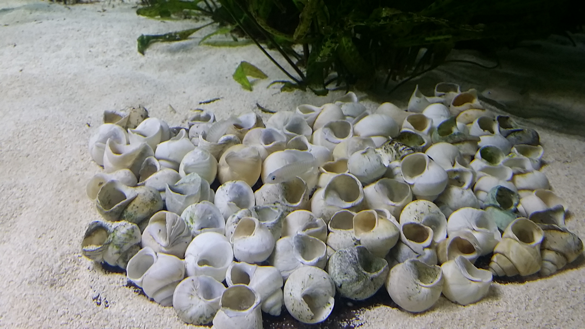 20150530_180541.jpg