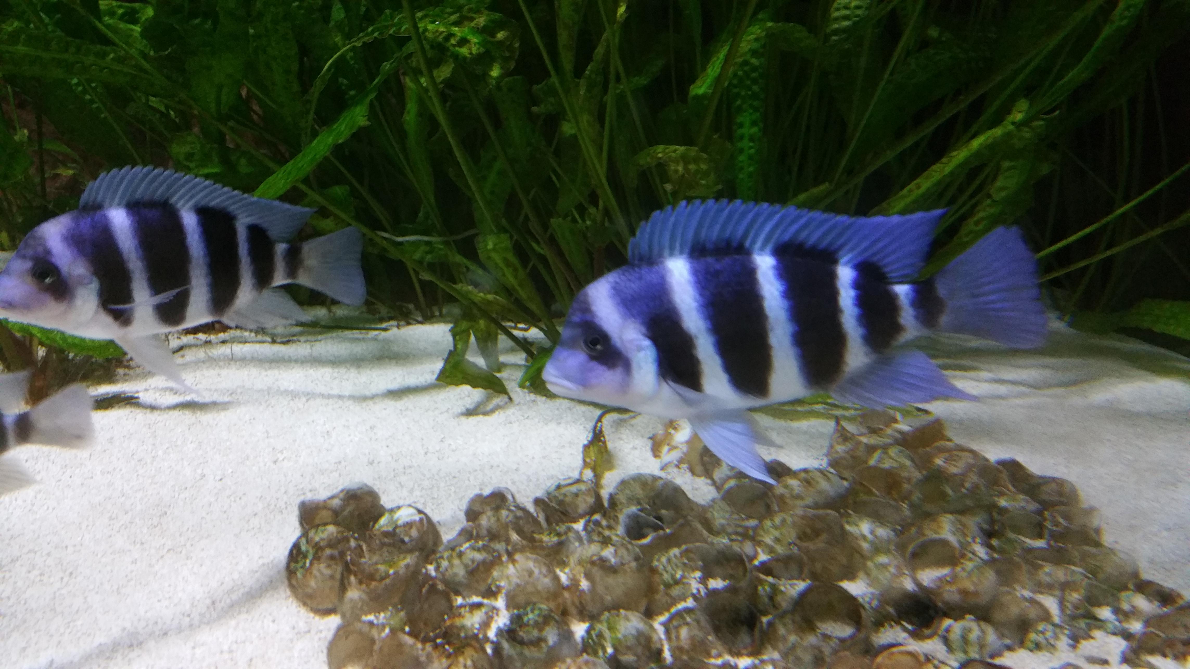 20160207_150417.jpg