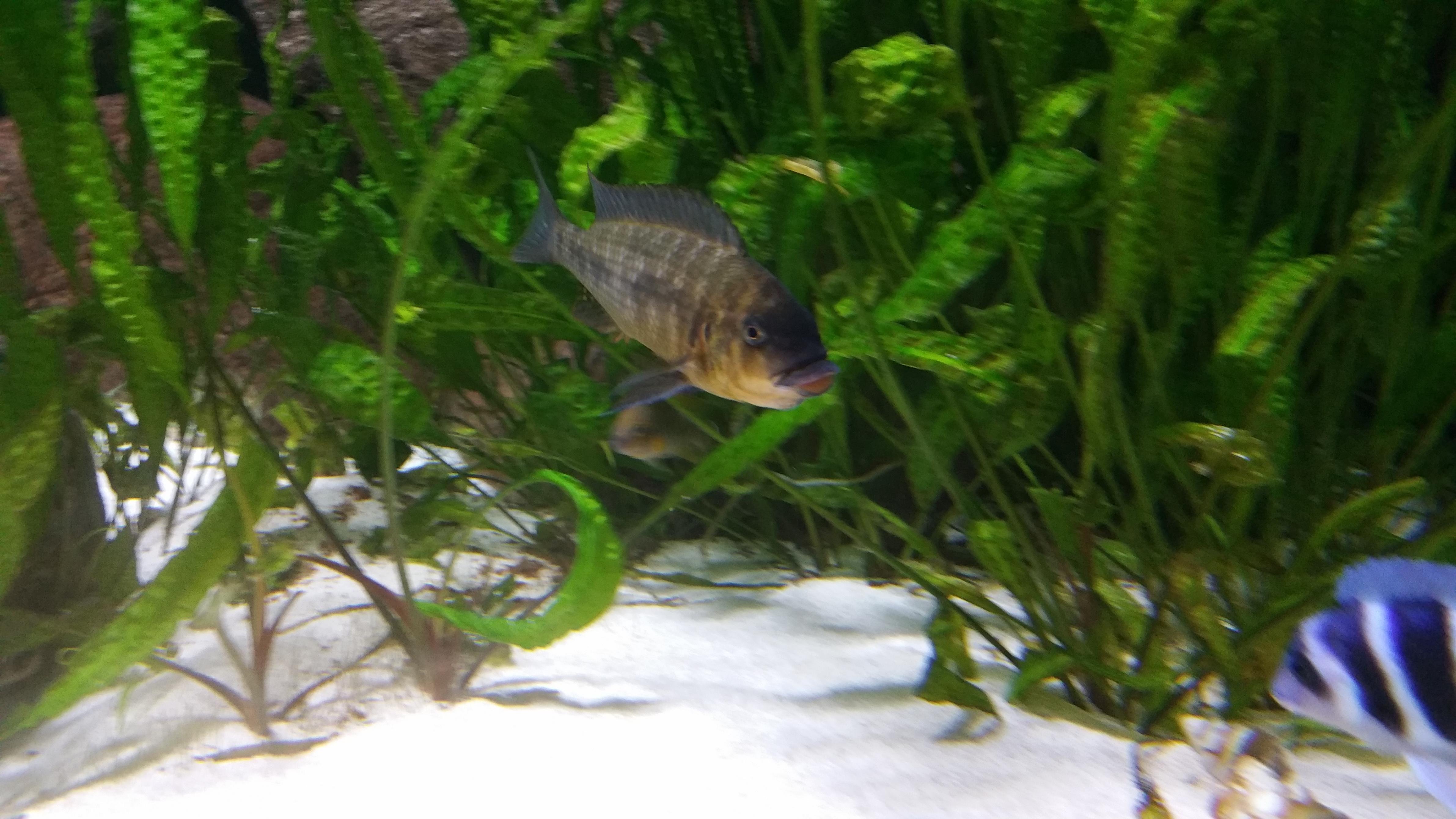 20160207_150351.jpg