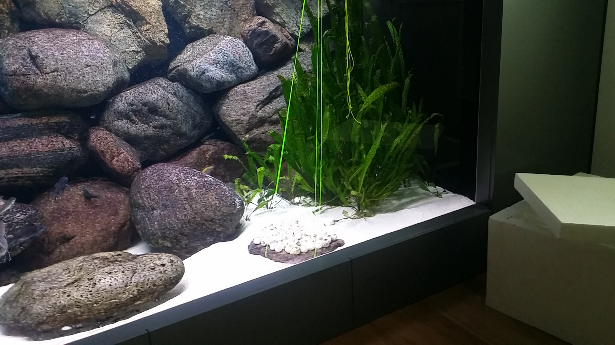20150530_175336.jpg