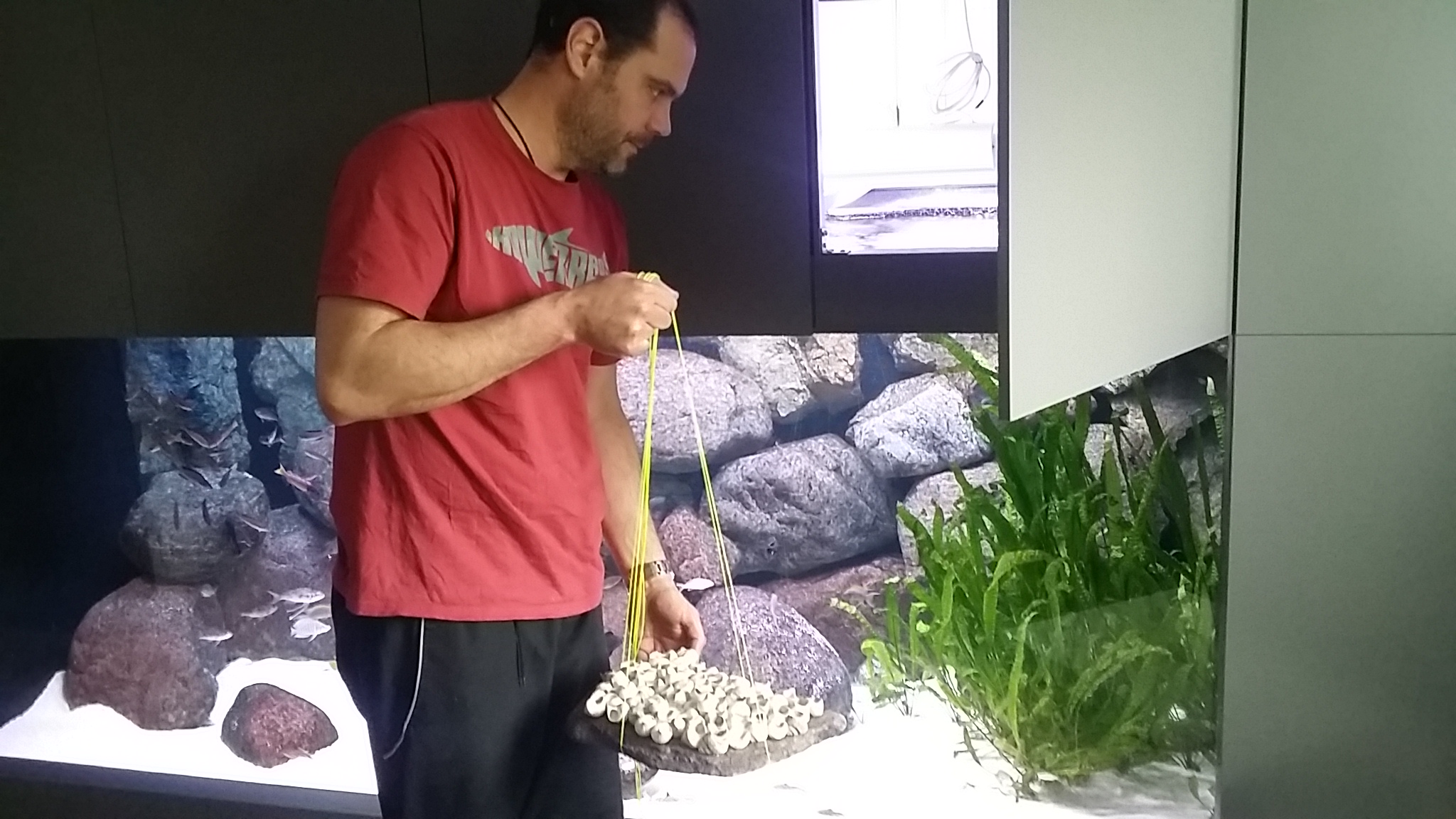 20150530_175222.jpg