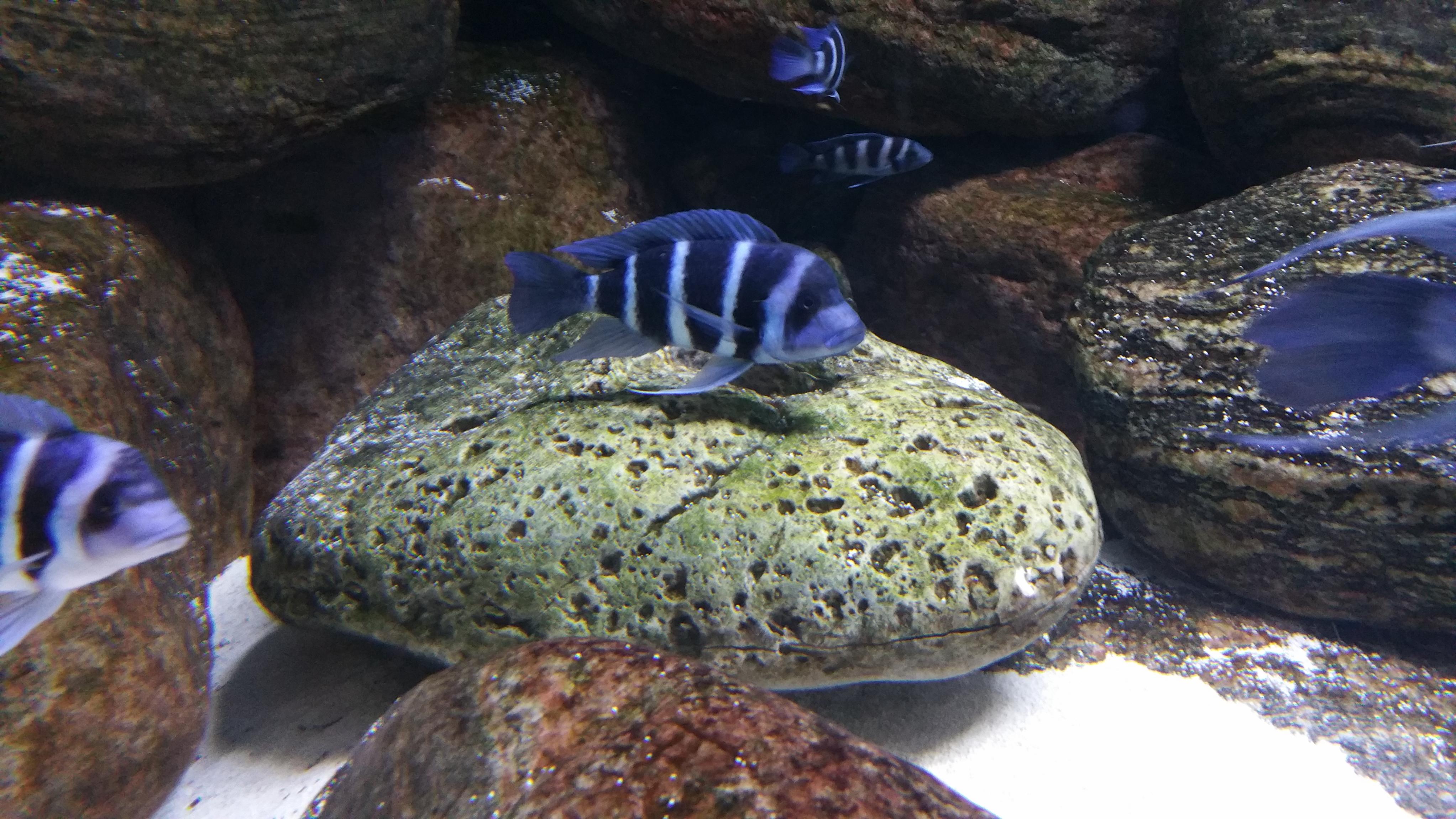 20160810_211245.jpg