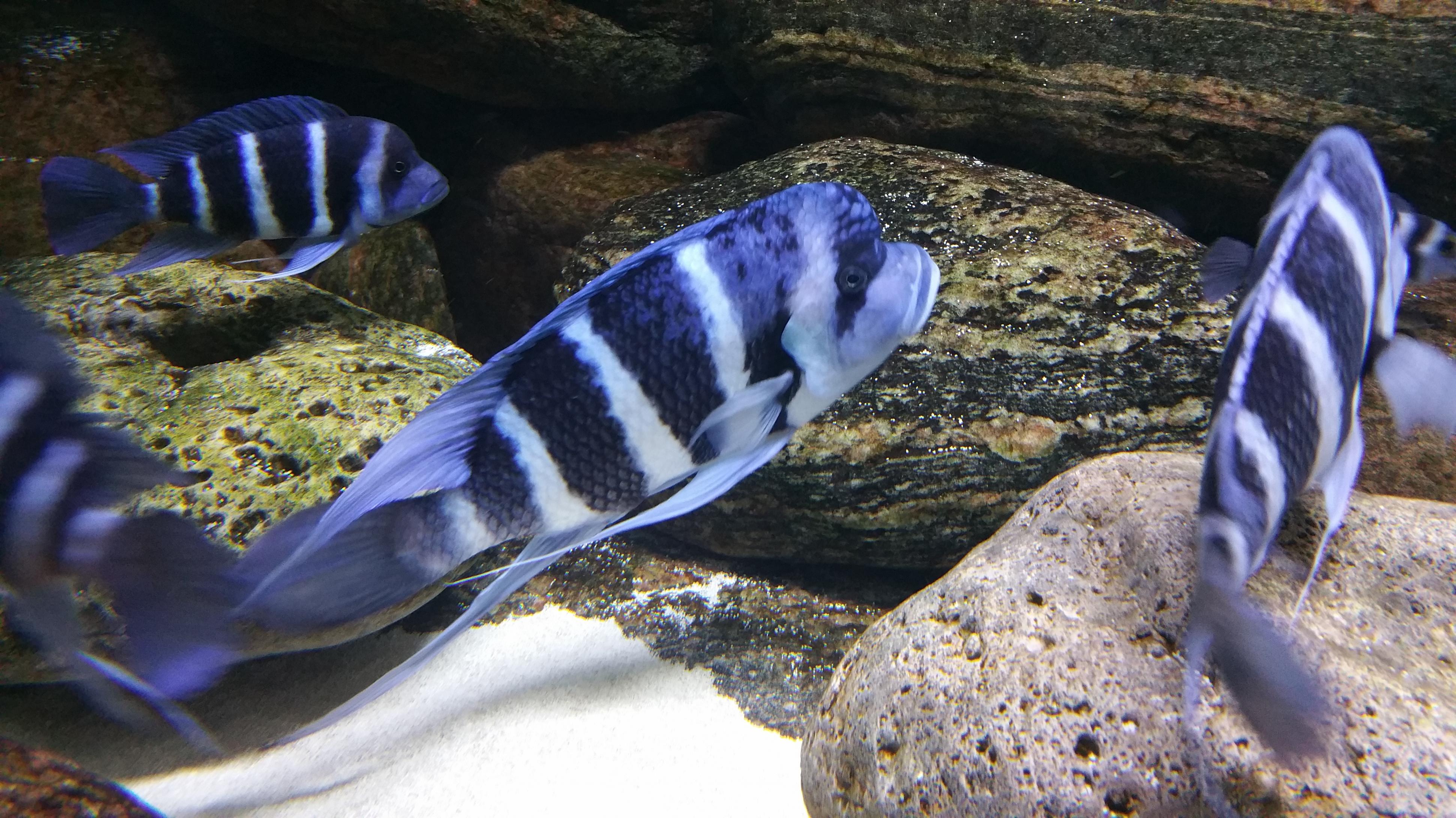 20160810_211232.jpg