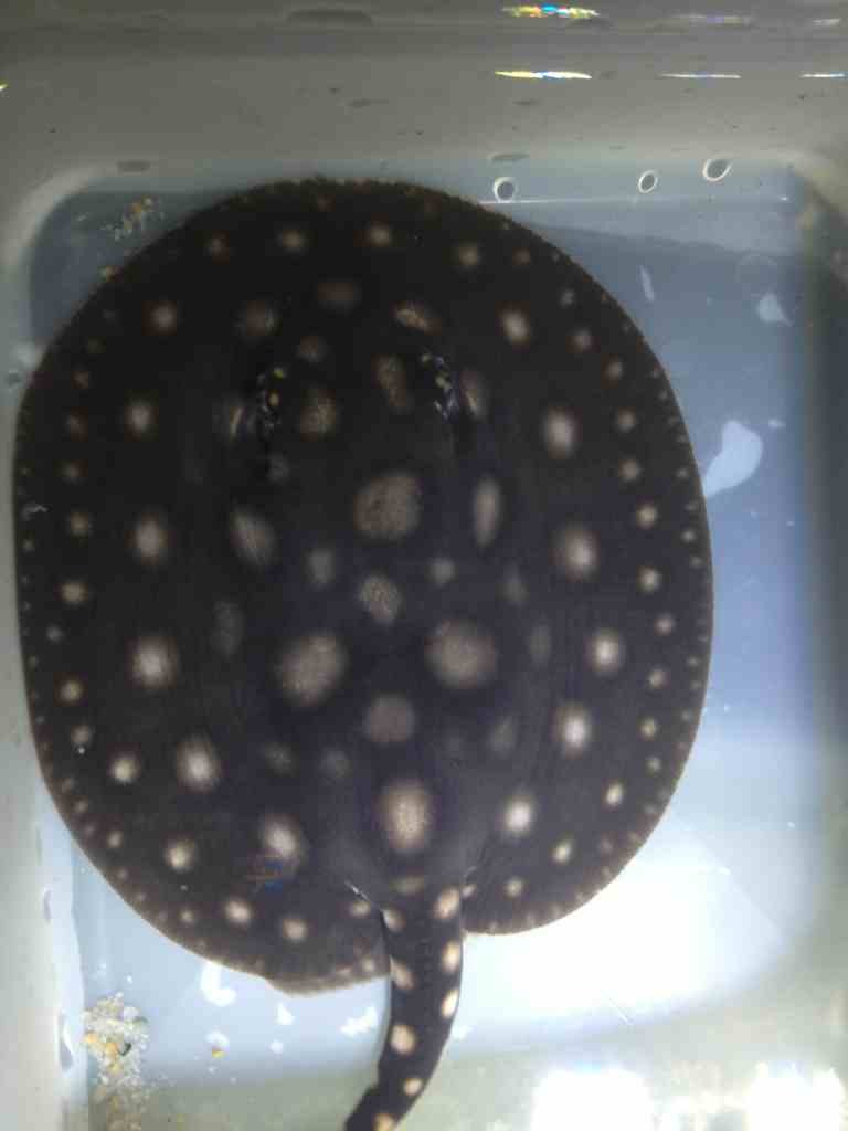ImageUploadedByTapatalk1357639204.157866.jpg
