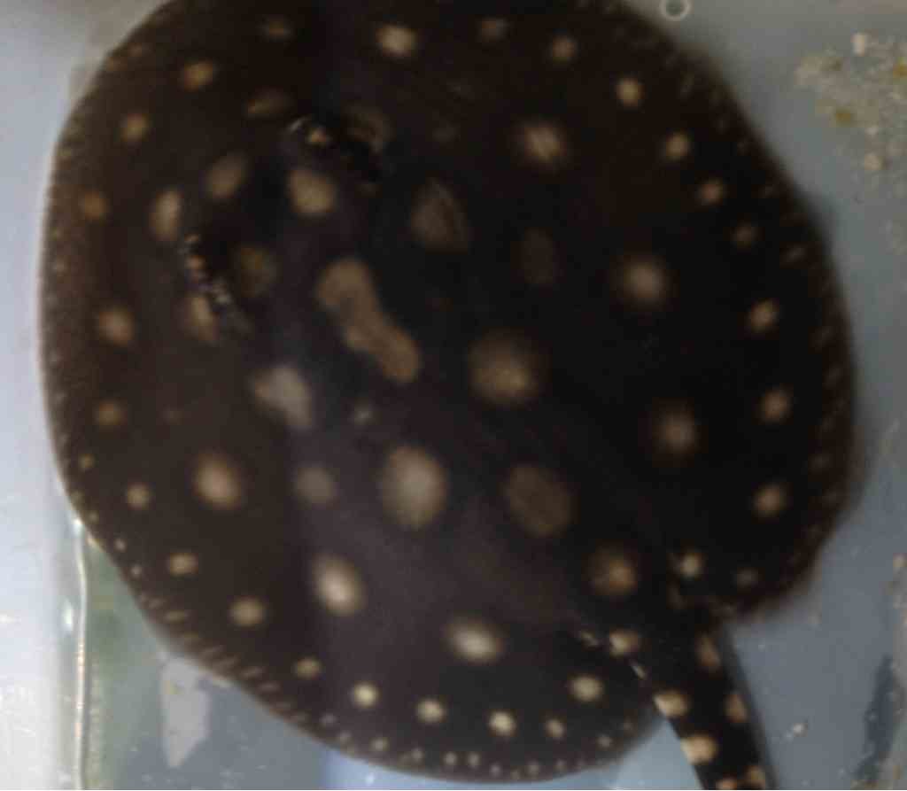 ImageUploadedByTapatalk1357639250.631849.jpg