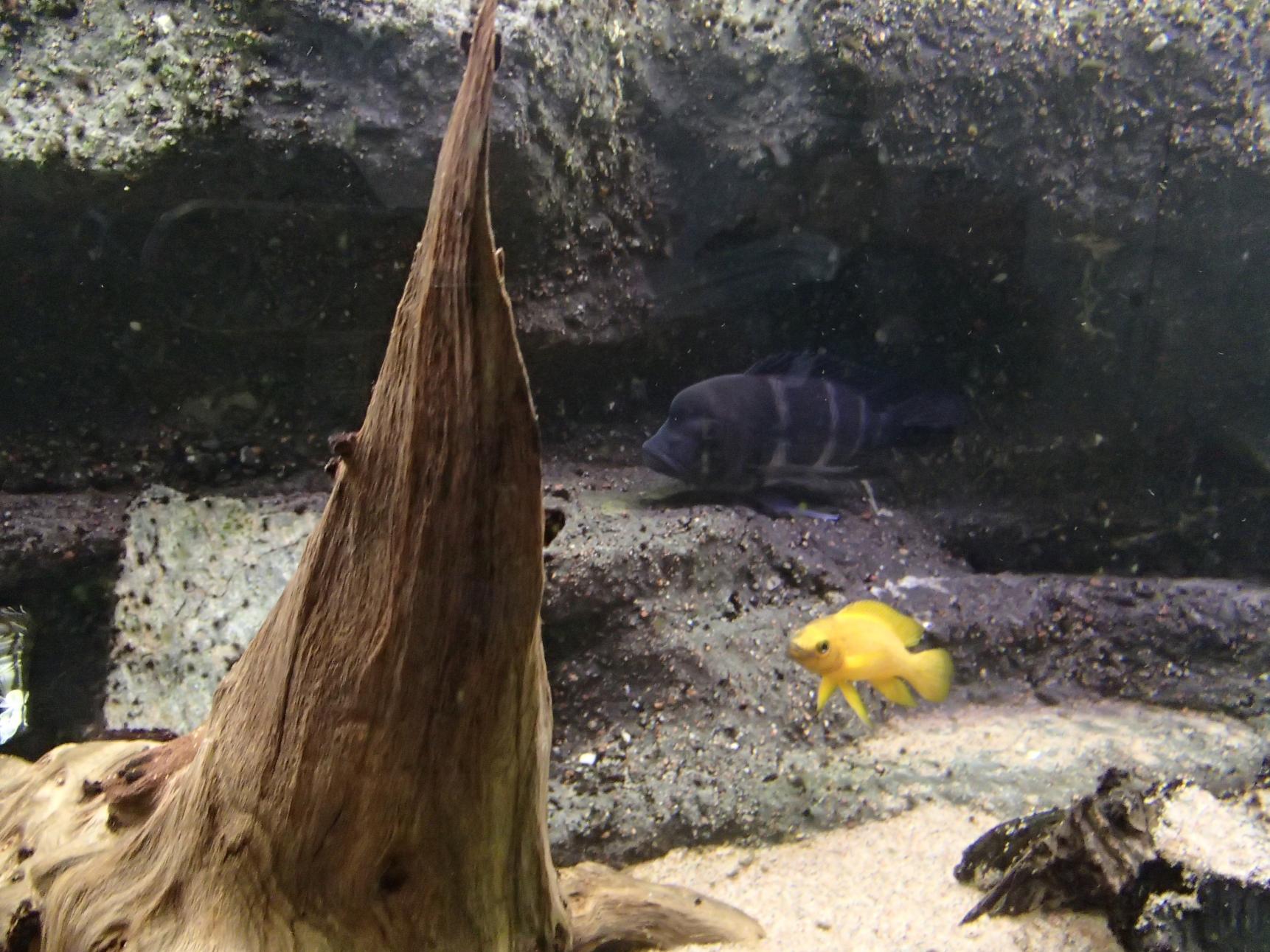 P3270045.jpg