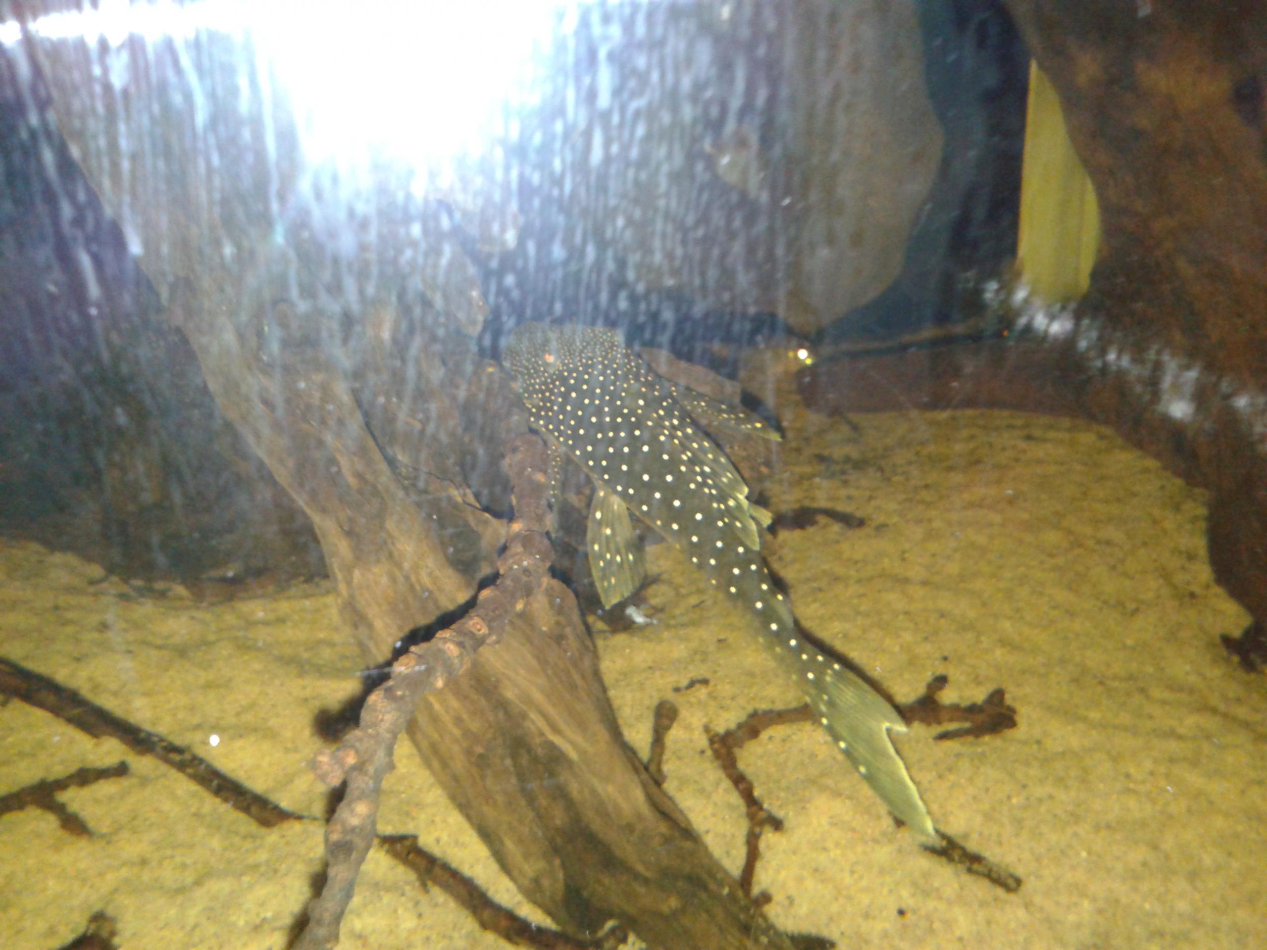 20130812_204507[1].jpg