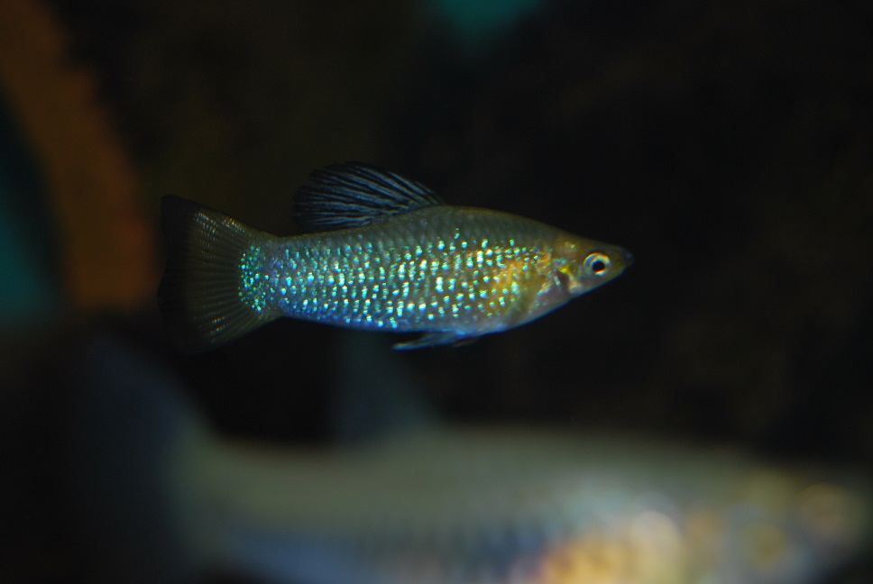 DSC_10846.jpg