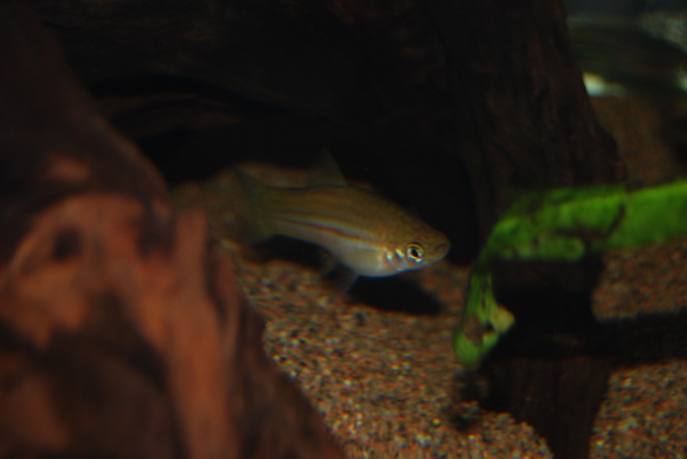 DSC_0843.jpg