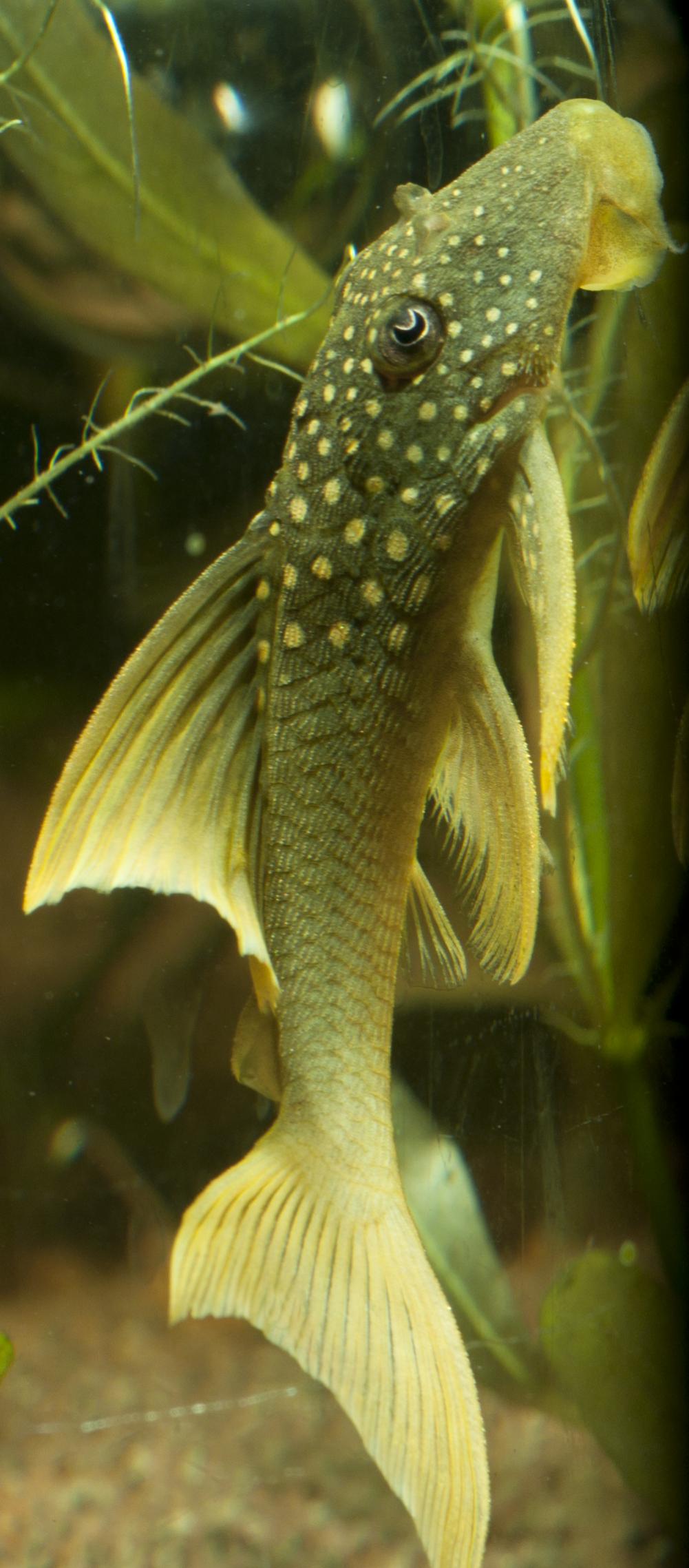 DSC_0202.jpg