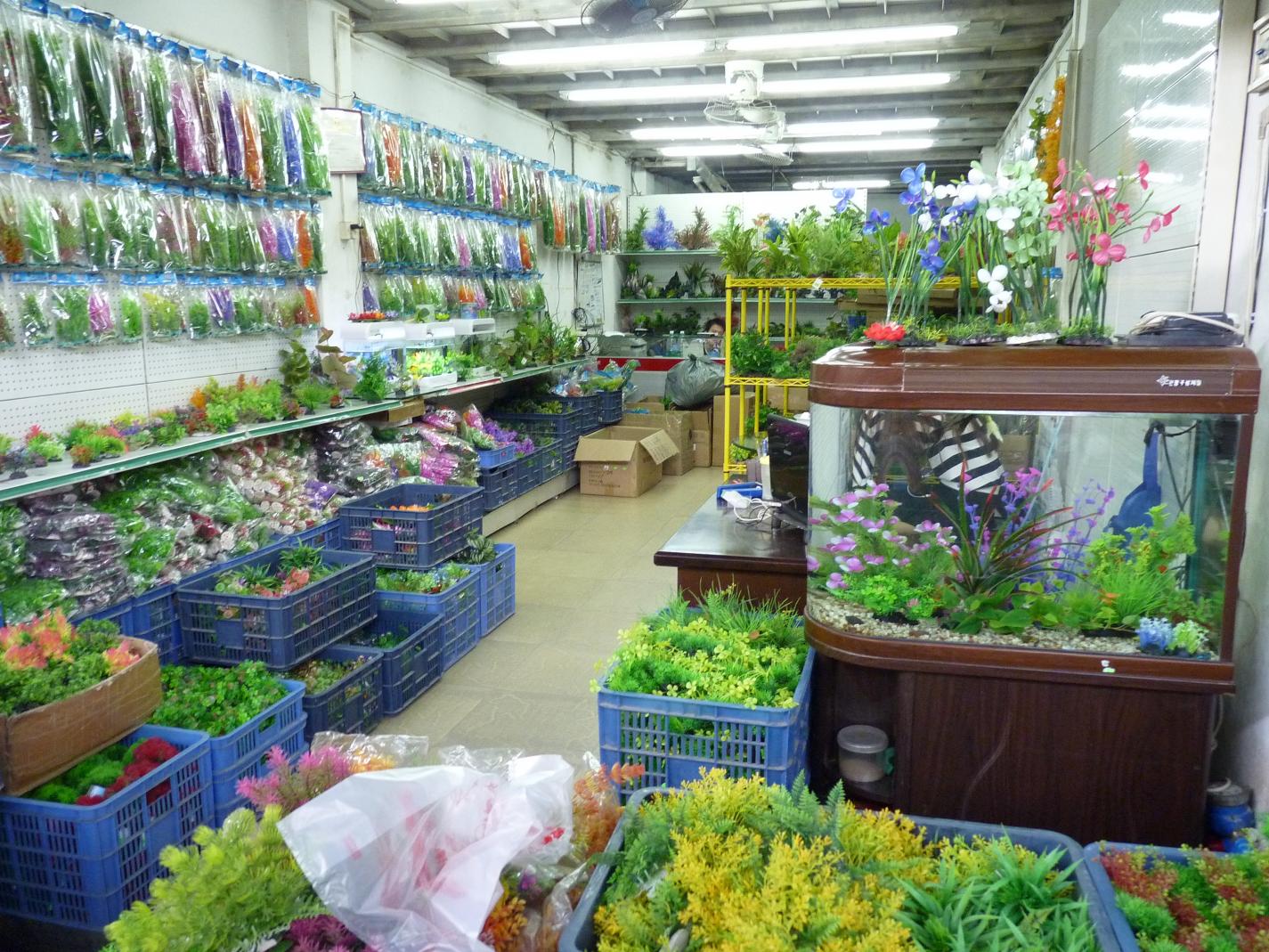 P1130407.jpg