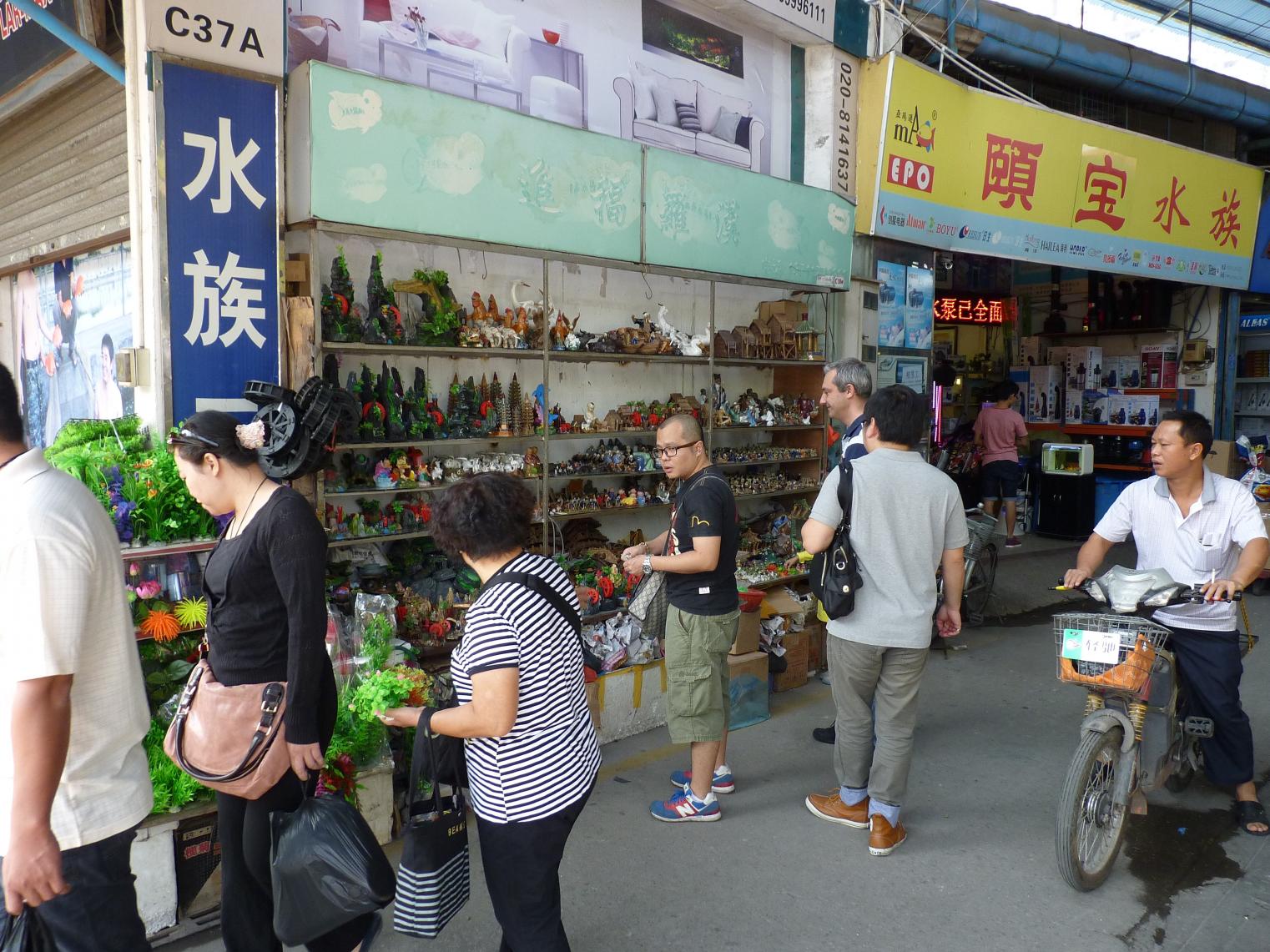P1130563.jpg