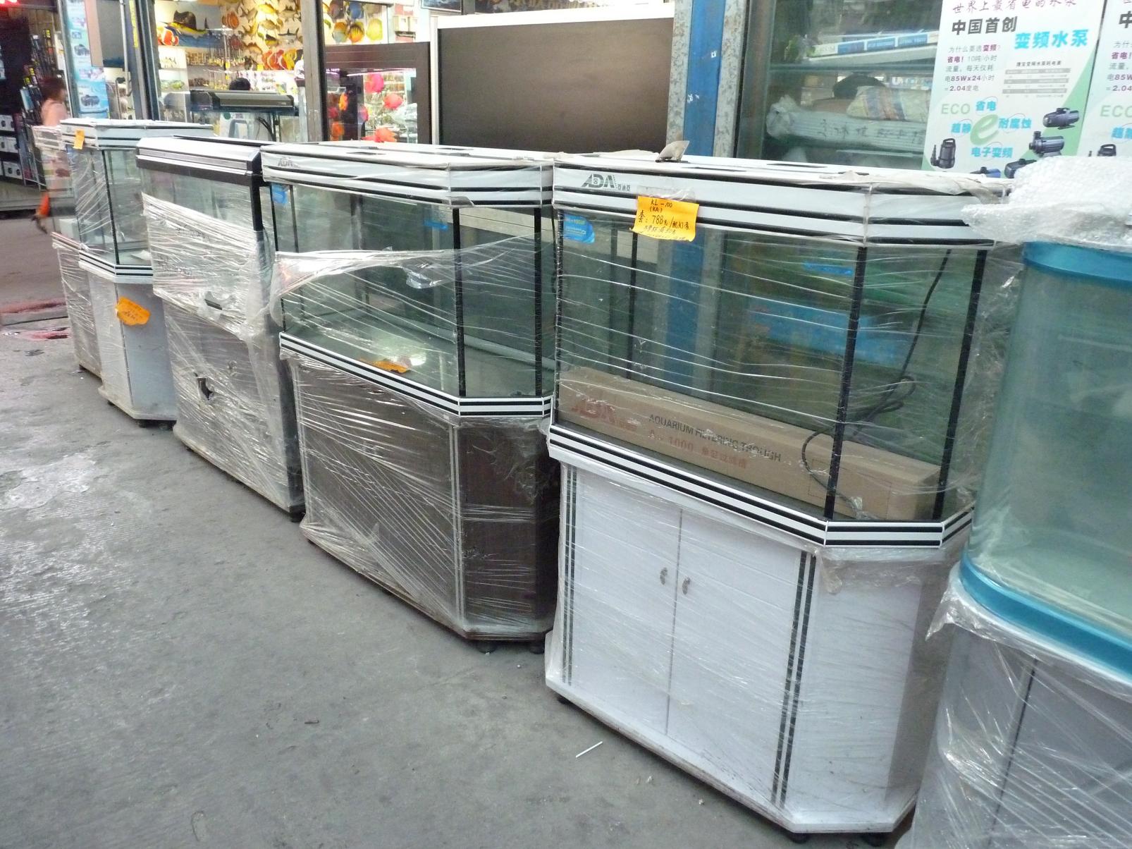 P1130456.jpg