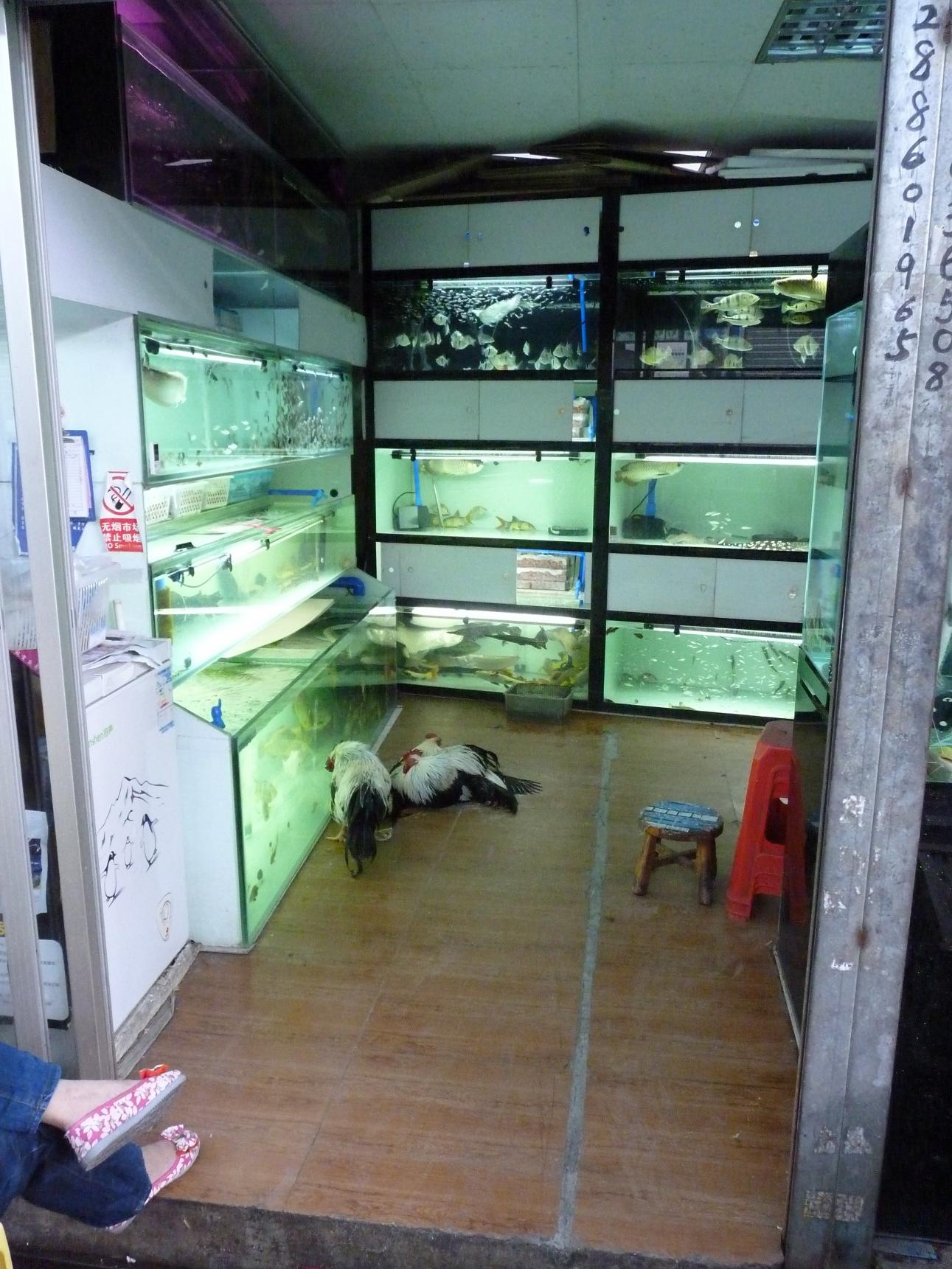 P1130457.jpg
