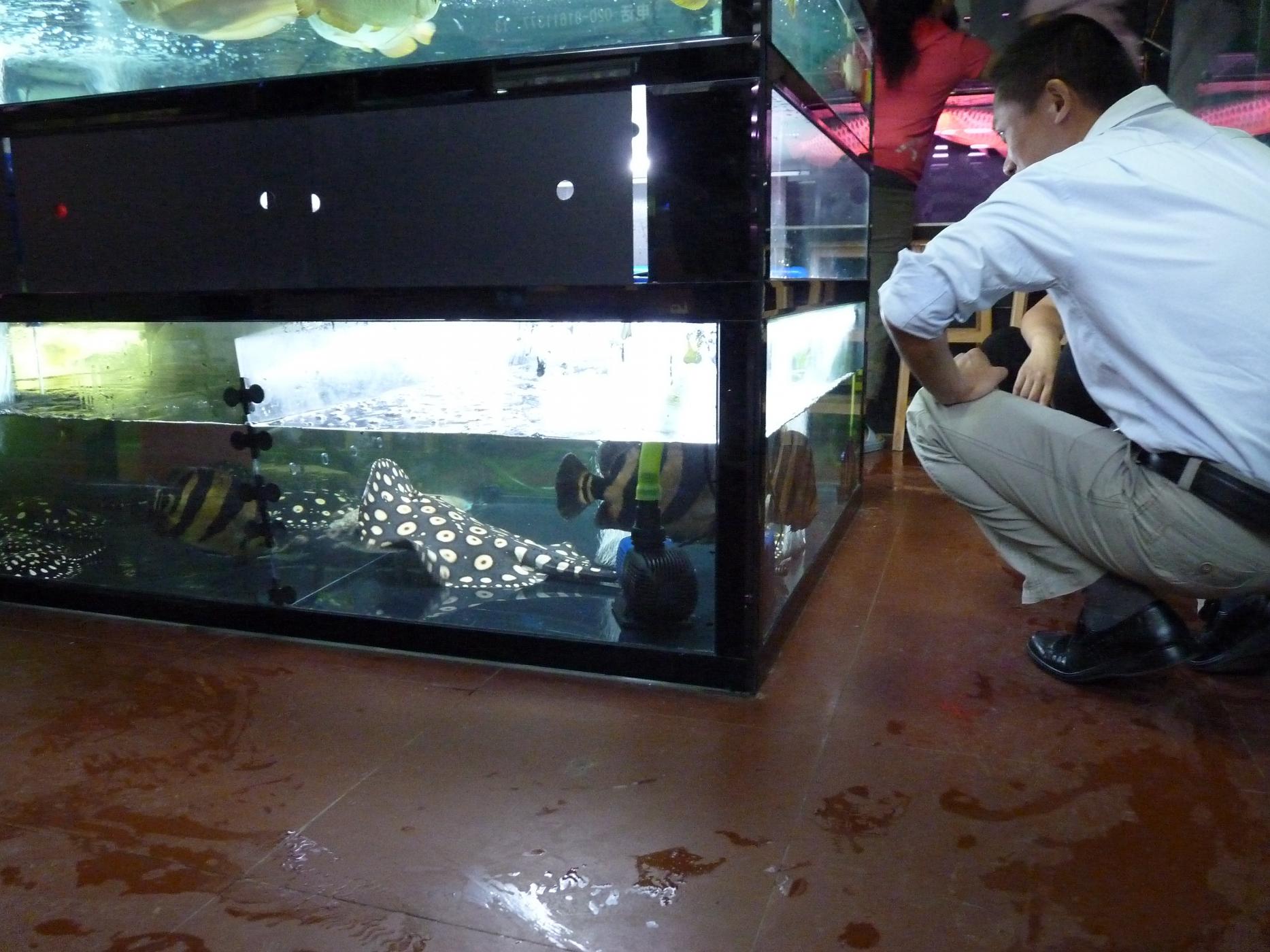 P1130454.jpg