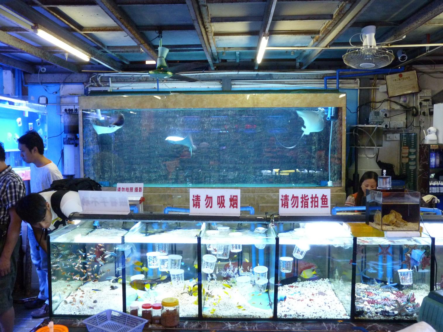 P1130549.jpg