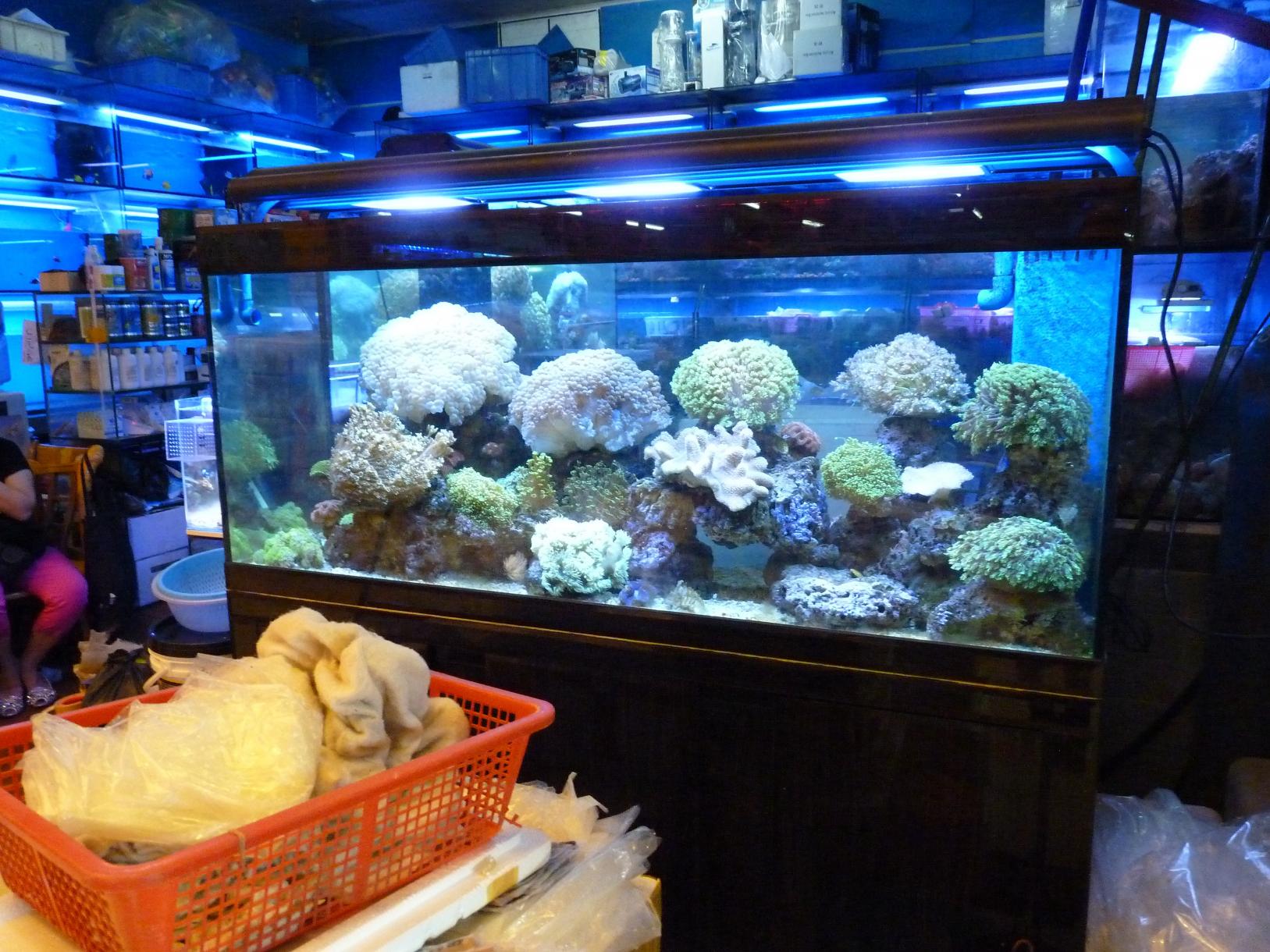 P1130551.jpg