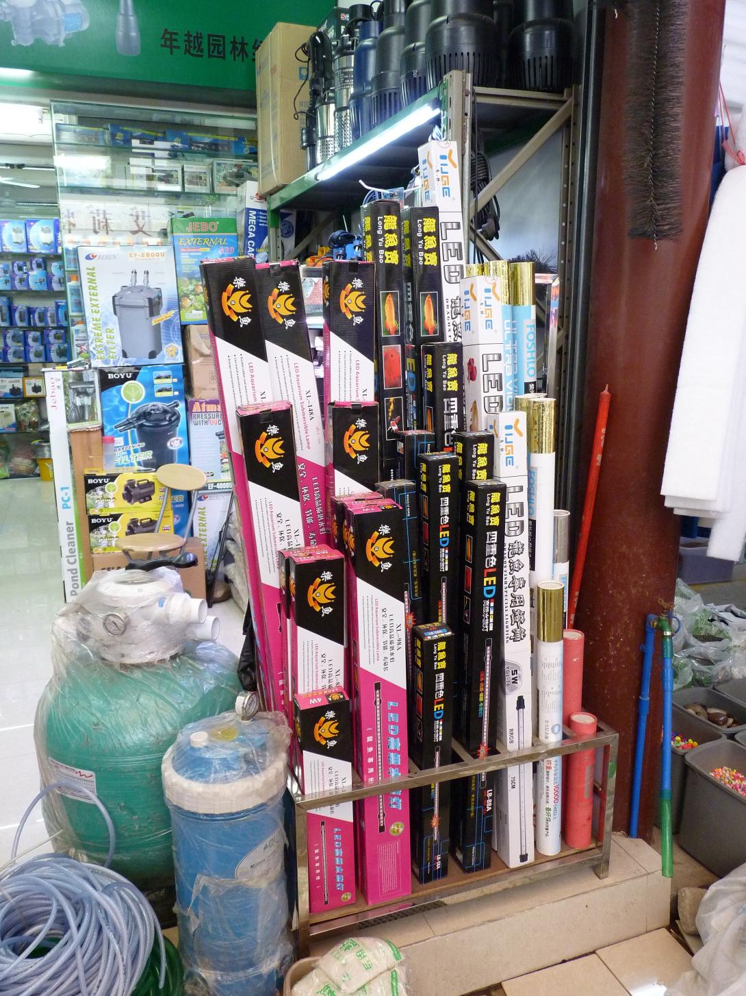P1130559.jpg