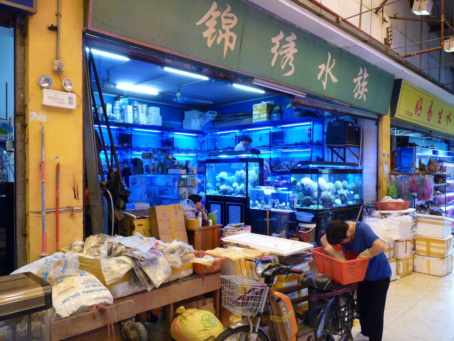 P1130546.jpg