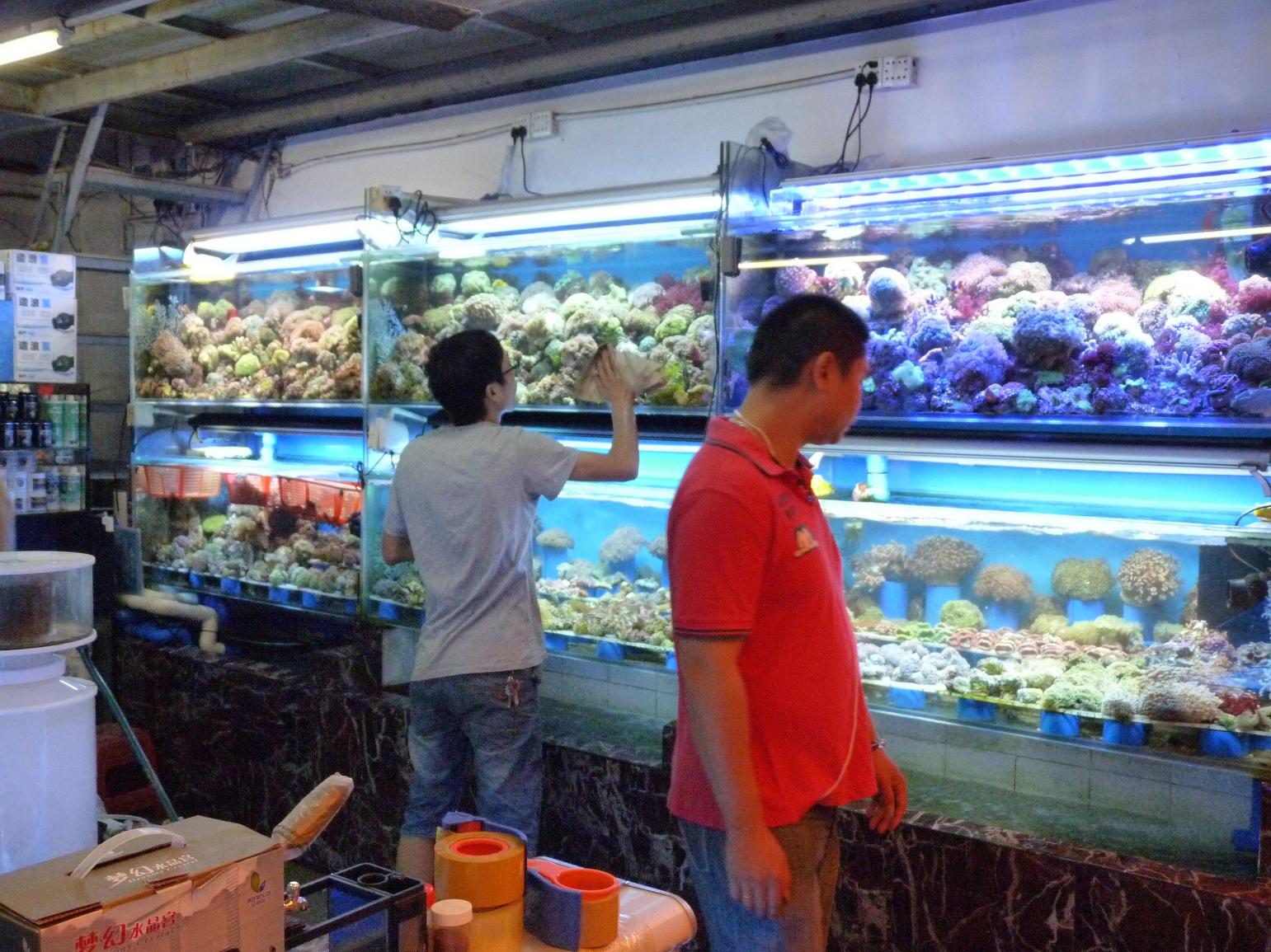 P1130550.jpg