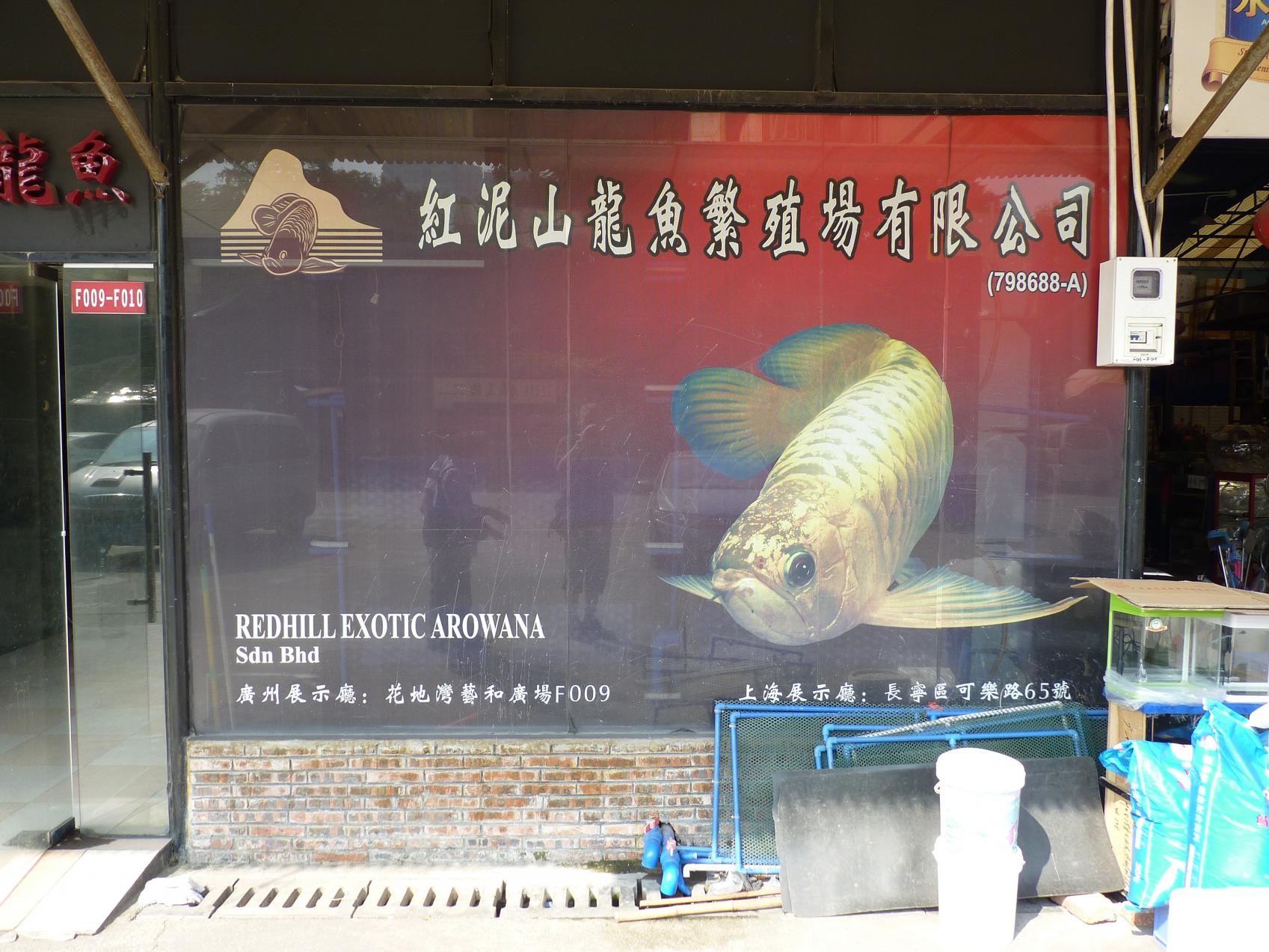P1130391.jpg