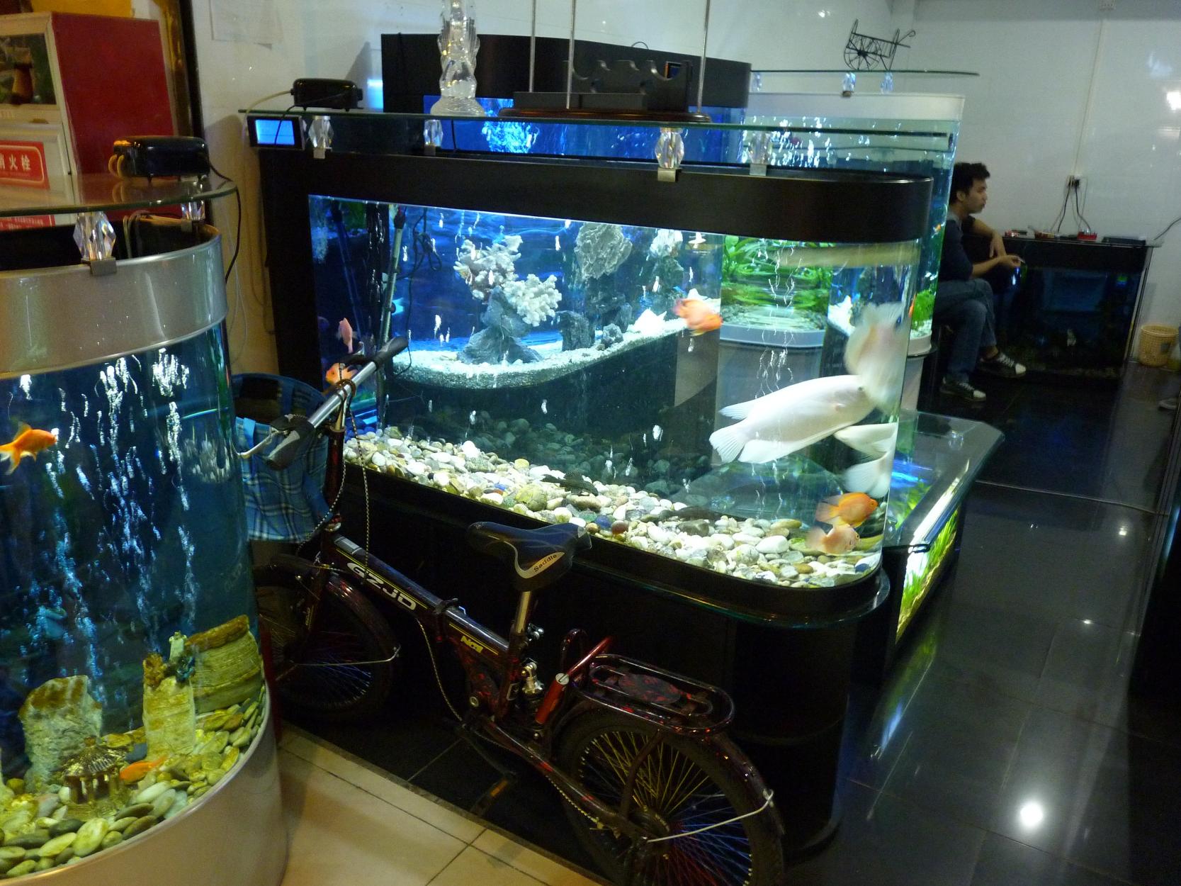 P1130541.jpg