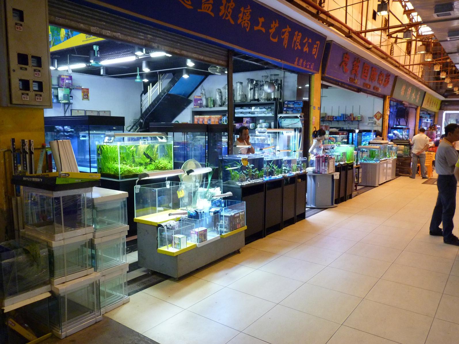 P1130543.jpg