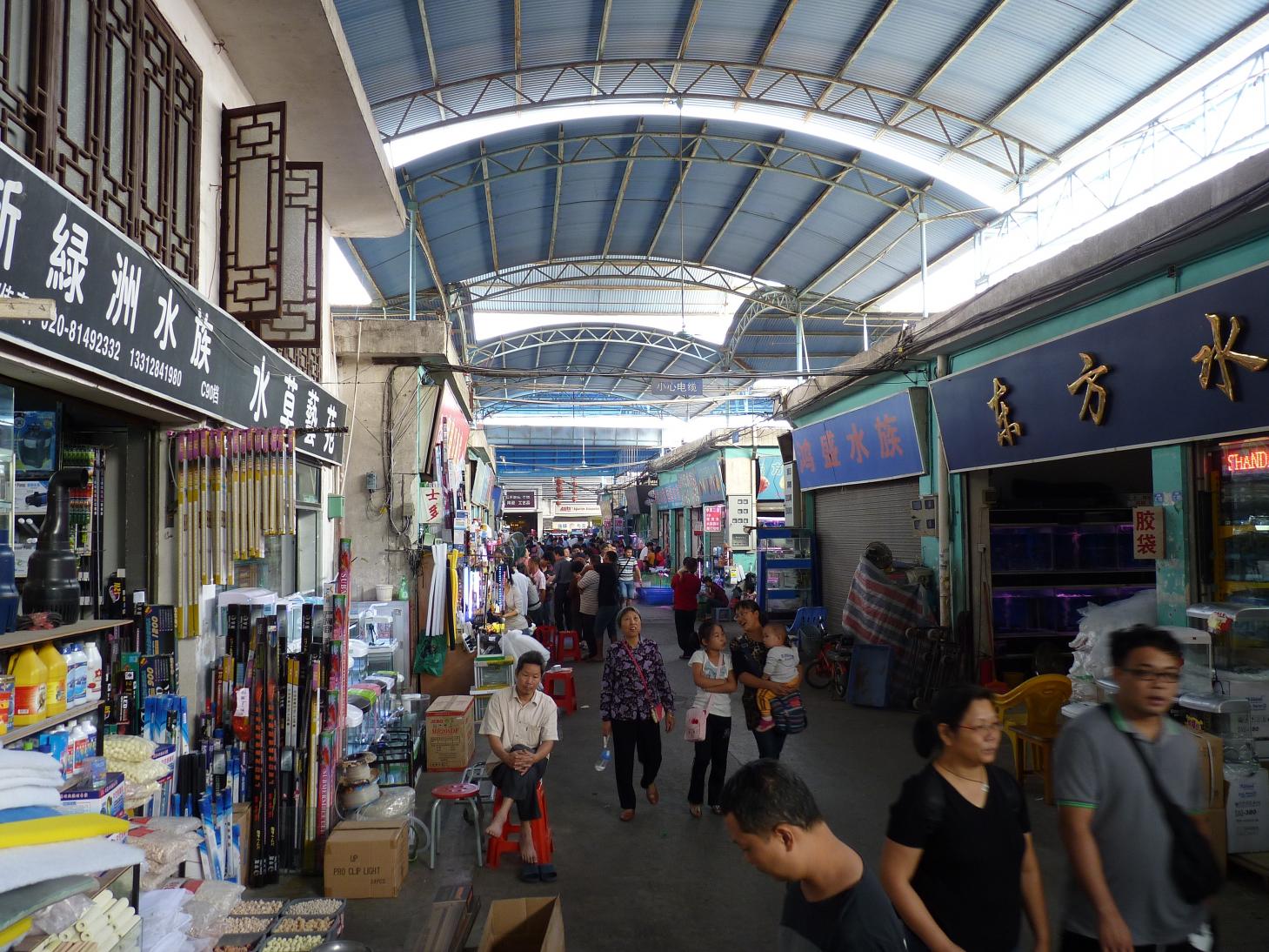 P1130432.jpg