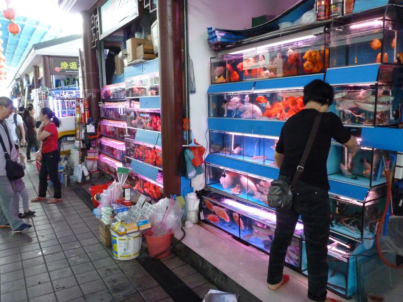 P1130556.jpg