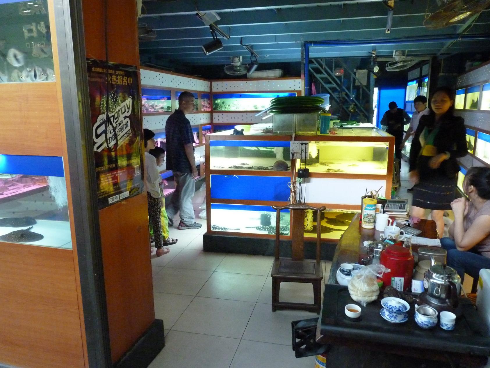 P1130444.jpg