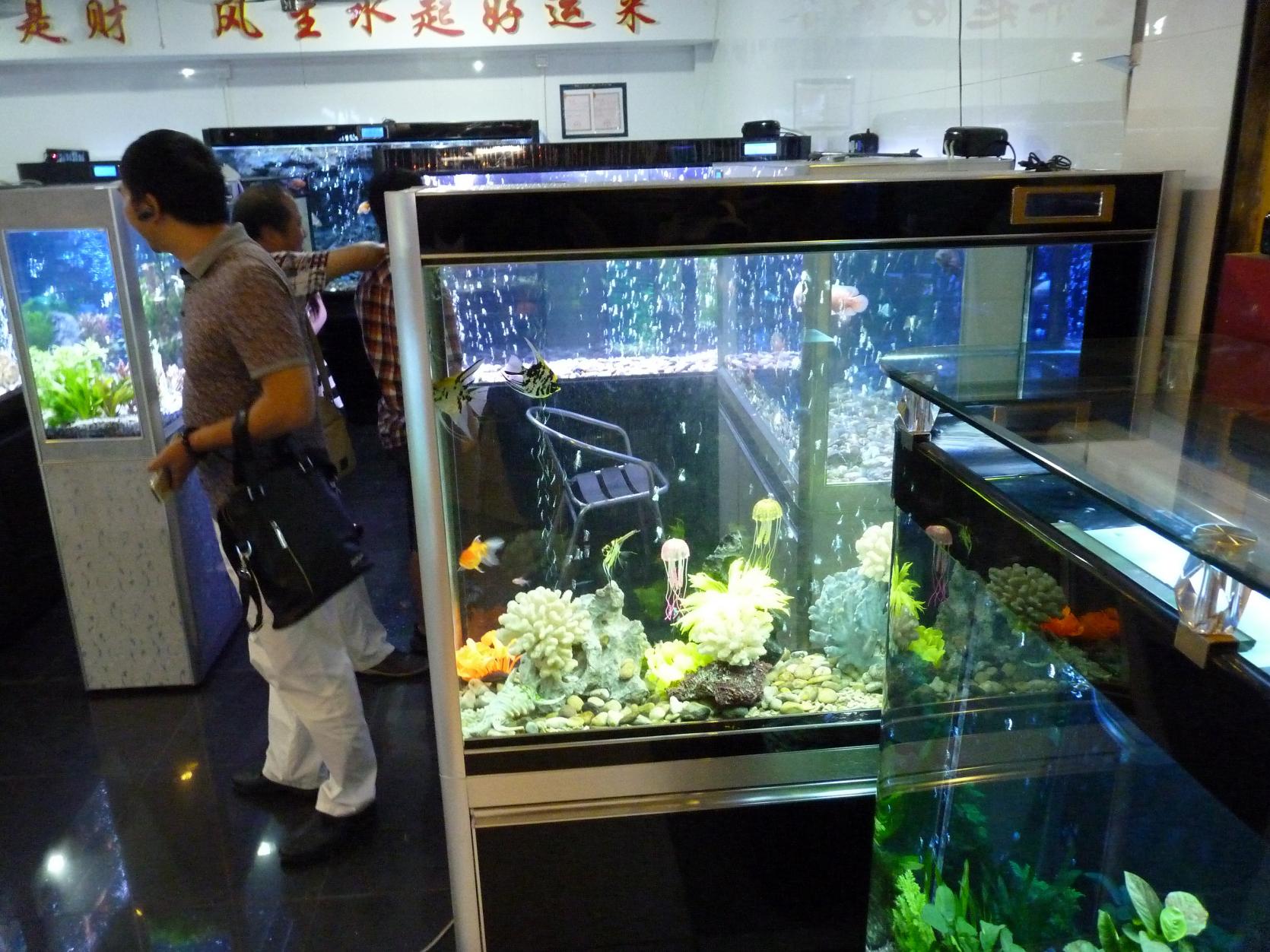P1130540.jpg