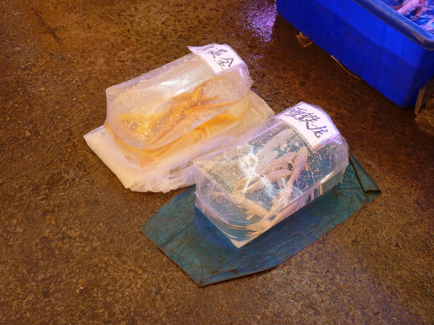 P1130526.jpg